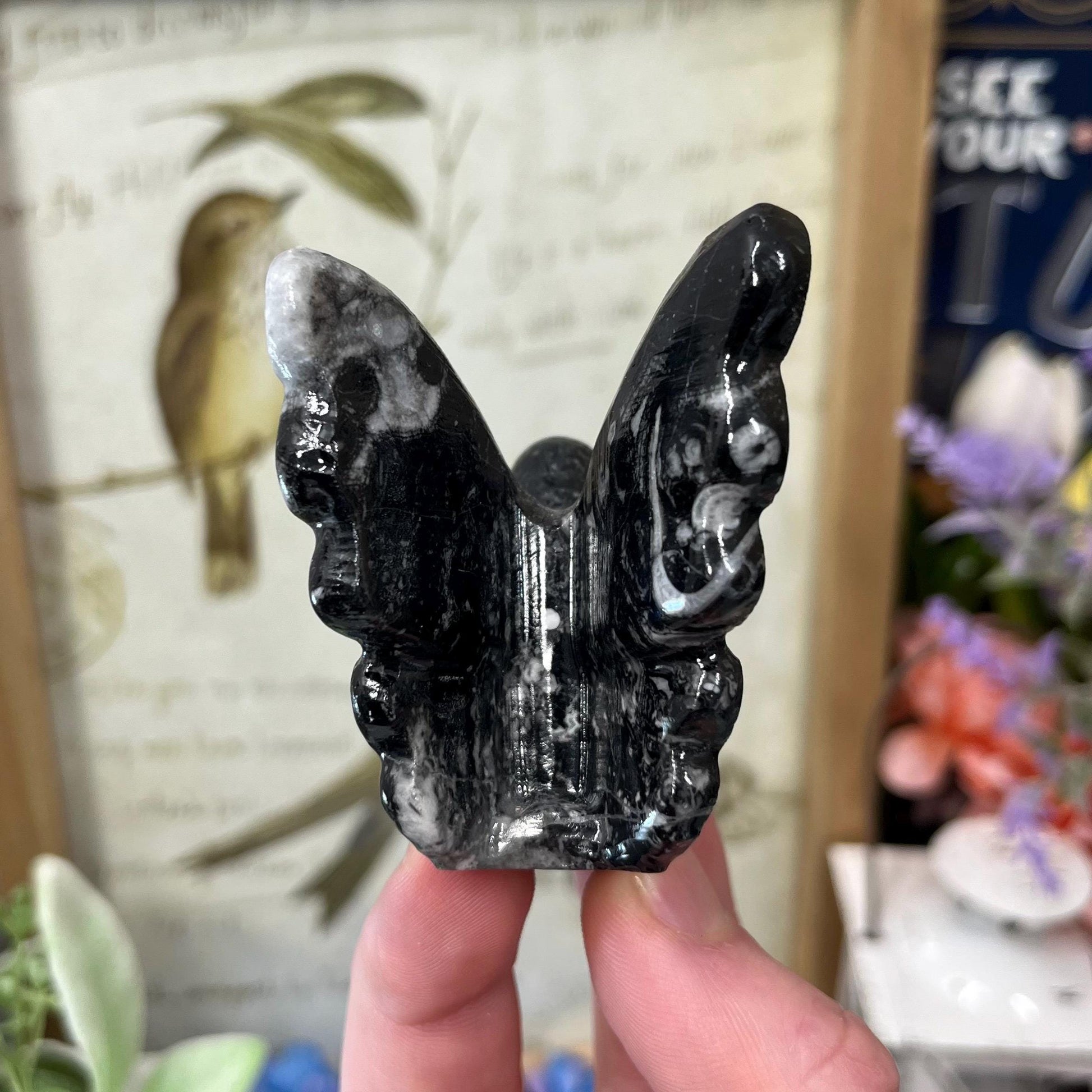 Shell Jasper Fairy | Crystal Angel Carving | Crystal Fairy