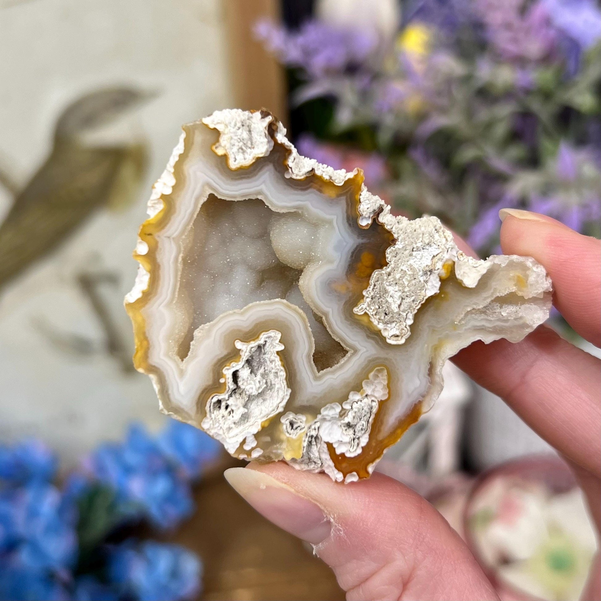 High Quality Agatized Coral | Florida Fossilized Coral | UV Reactive Coral Fossil | Coral Geode