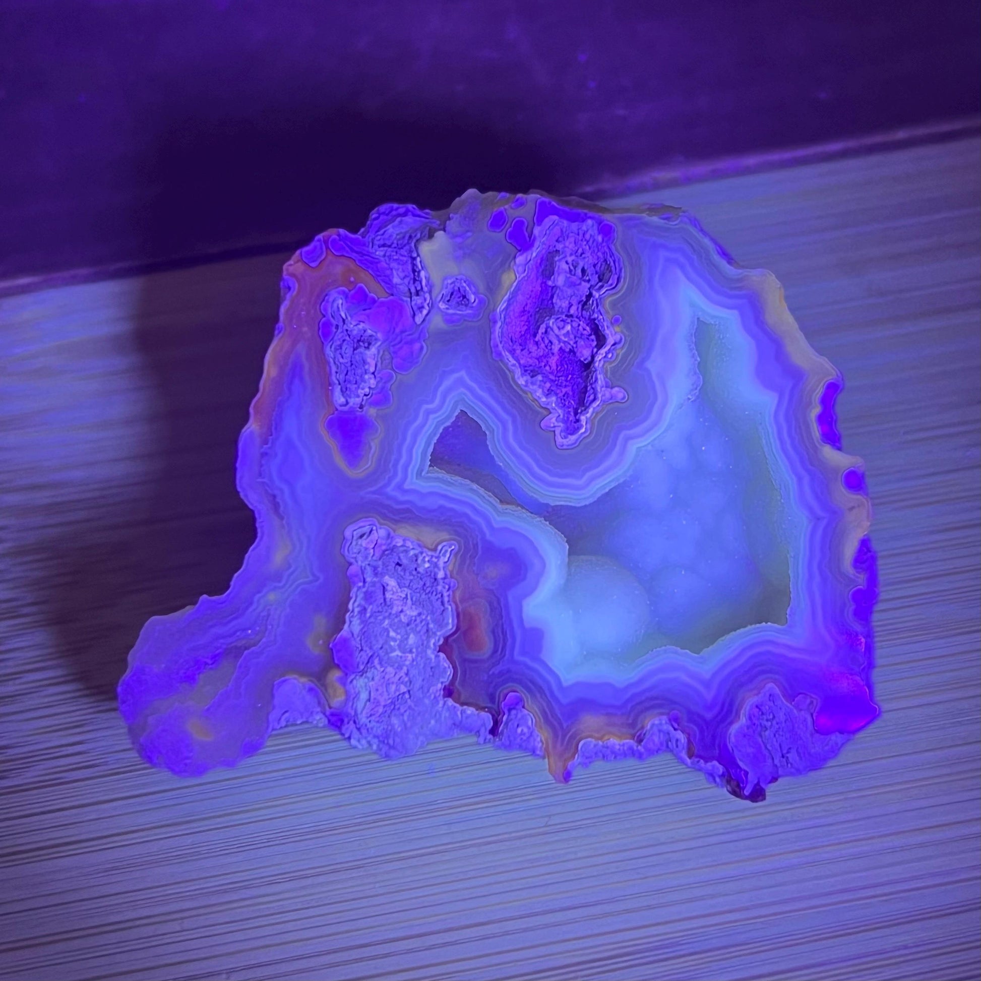 High Quality Agatized Coral | Florida Fossilized Coral | UV Reactive Coral Fossil | Coral Geode