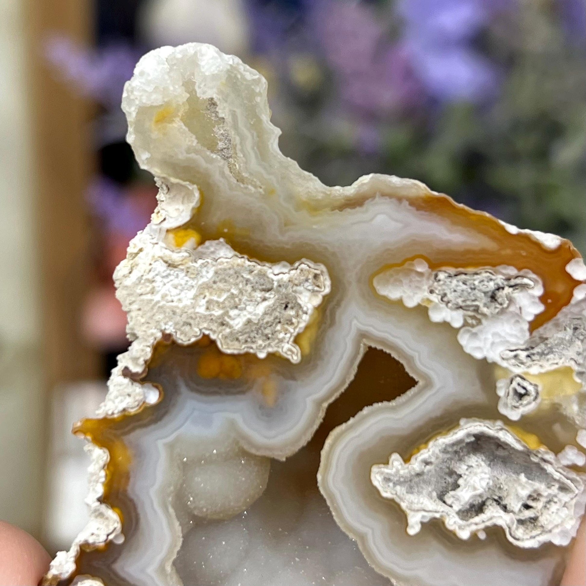 High Quality Agatized Coral | Florida Fossilized Coral | UV Reactive Coral Fossil | Coral Geode