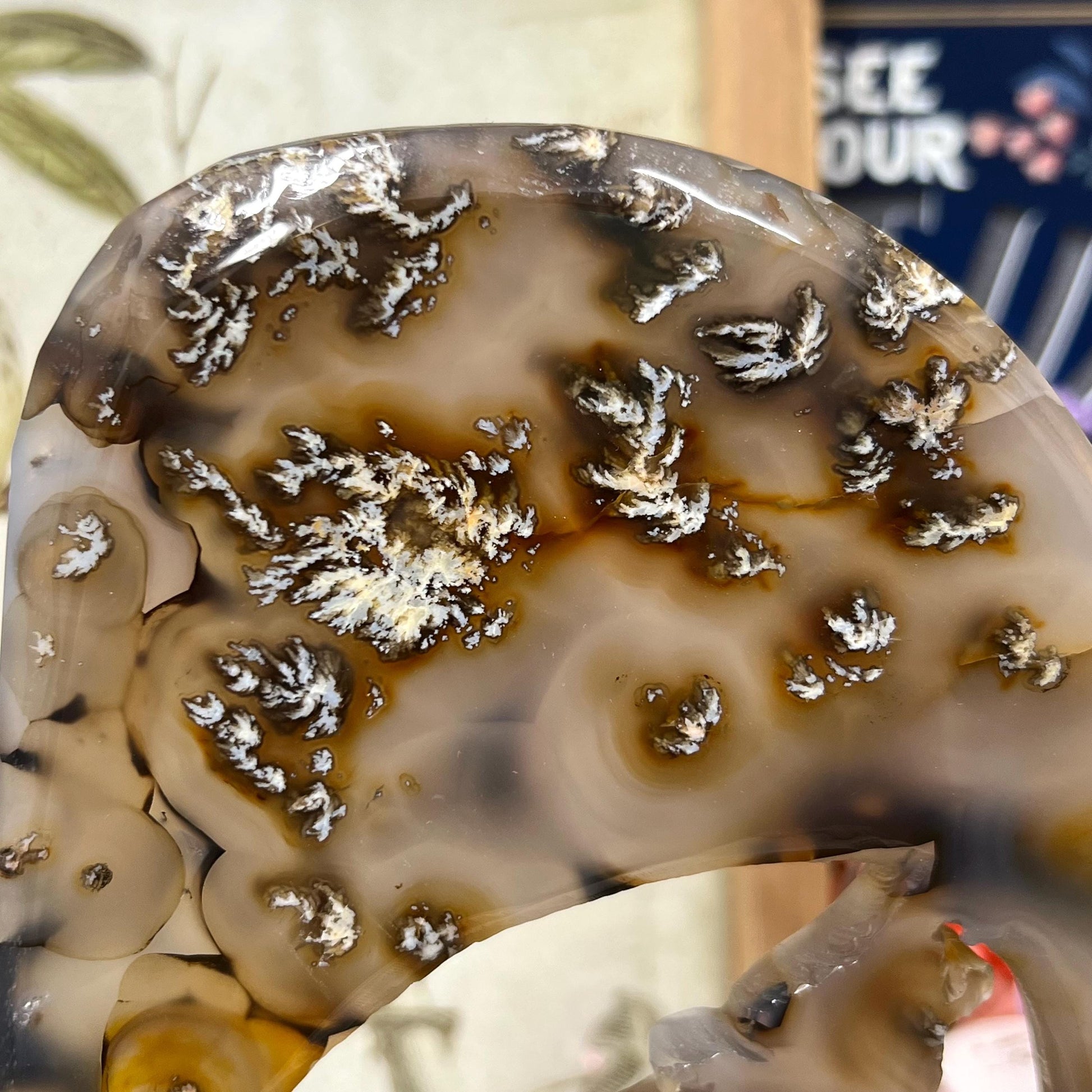 Large Dendritic Agate Wolf on Stand | Crystal Wolf | Howling Wolf Carving