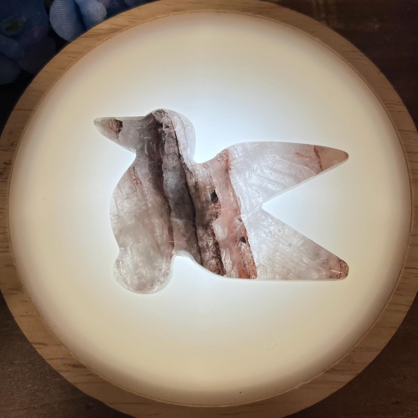 Cute Fire Quartz Hummingbird | Crystal Bird Carving | Red Hematoid Quartz