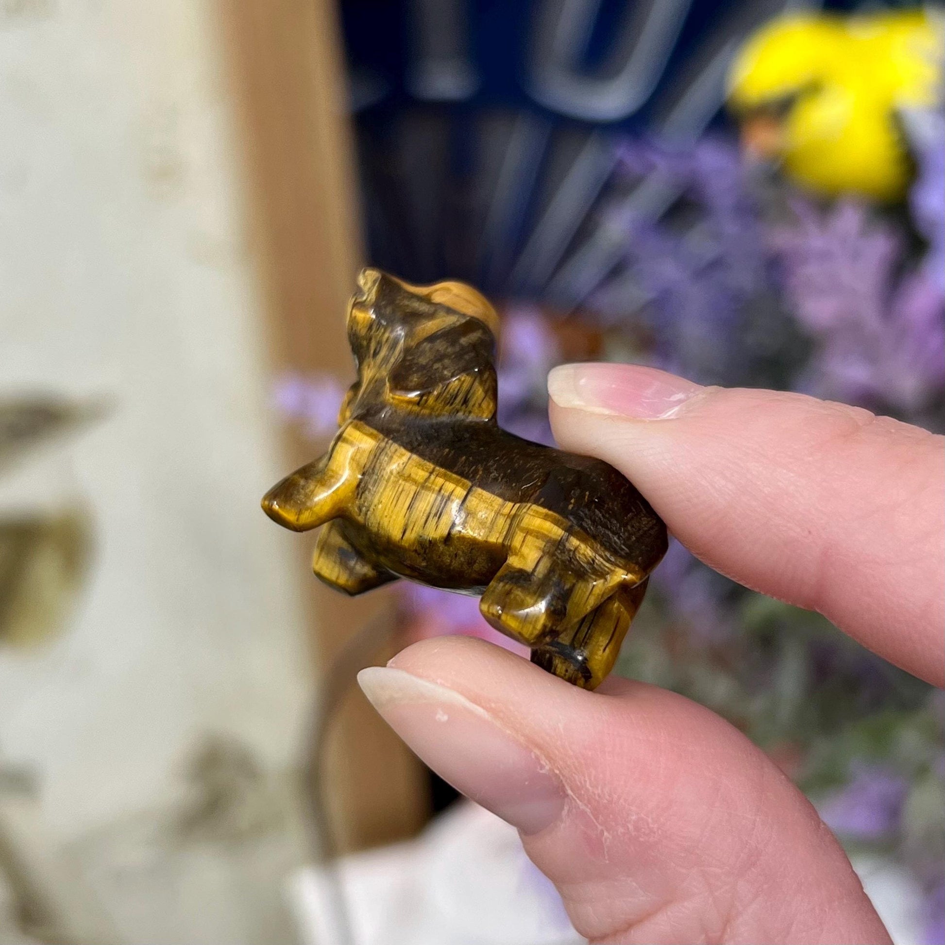 Small Tiger’s Eye Dog Carving | Crystal Dog | Dachshund Carving | Flashy Tiger Eye