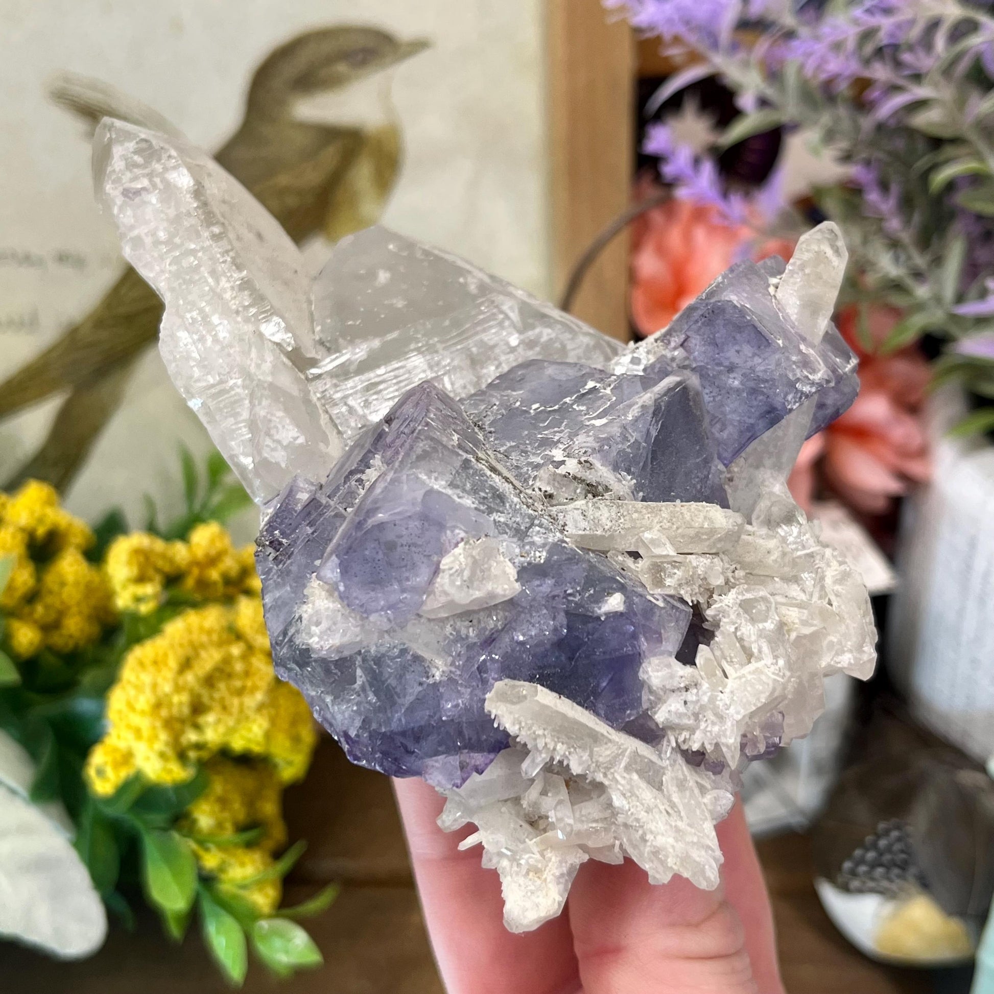 Large Purple Yaogangxian Fluorite Specimen | Yaogangxian Mineral Specimen | Pyrite in Fluorite