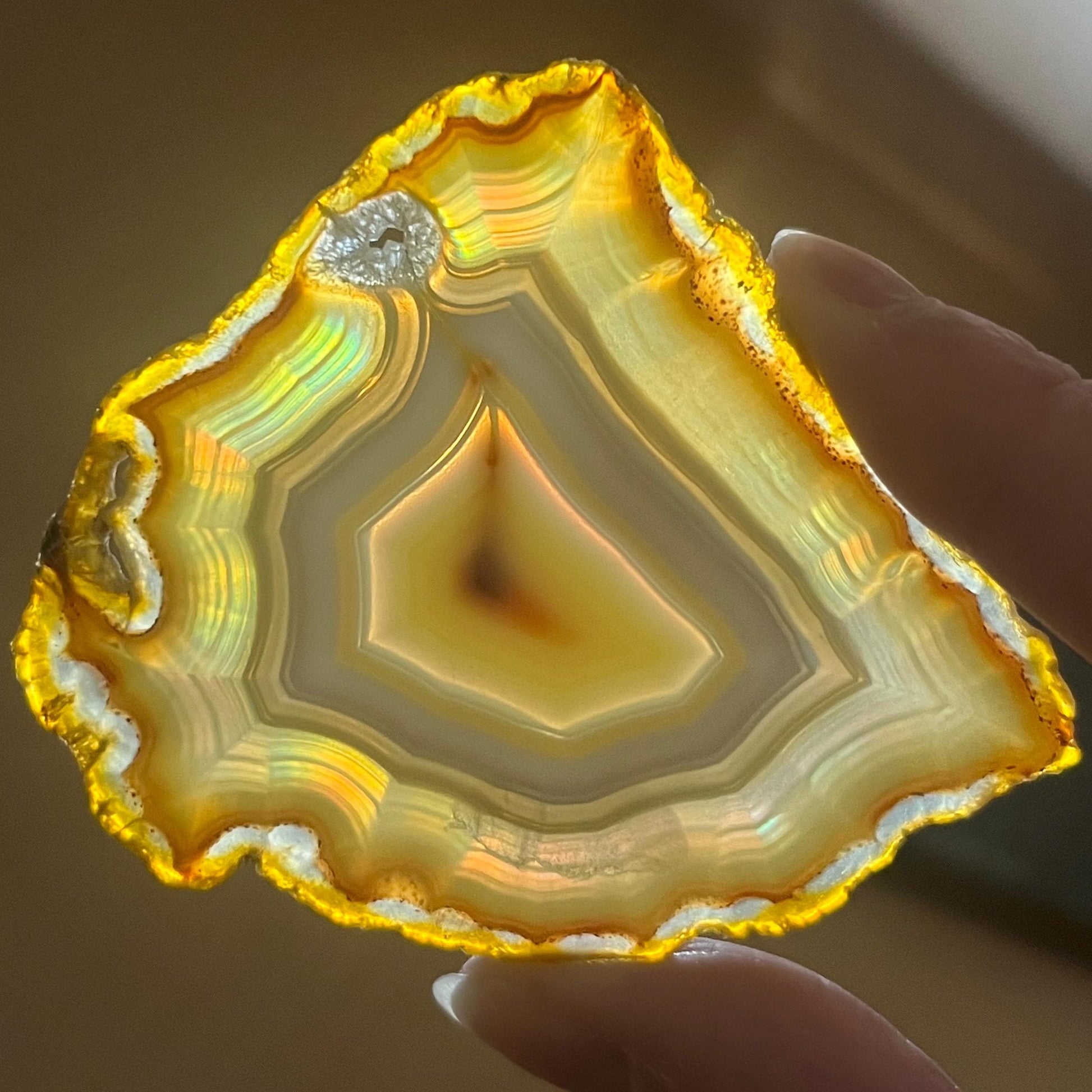 Rainbow Iris Agate | Iris Agate Slice