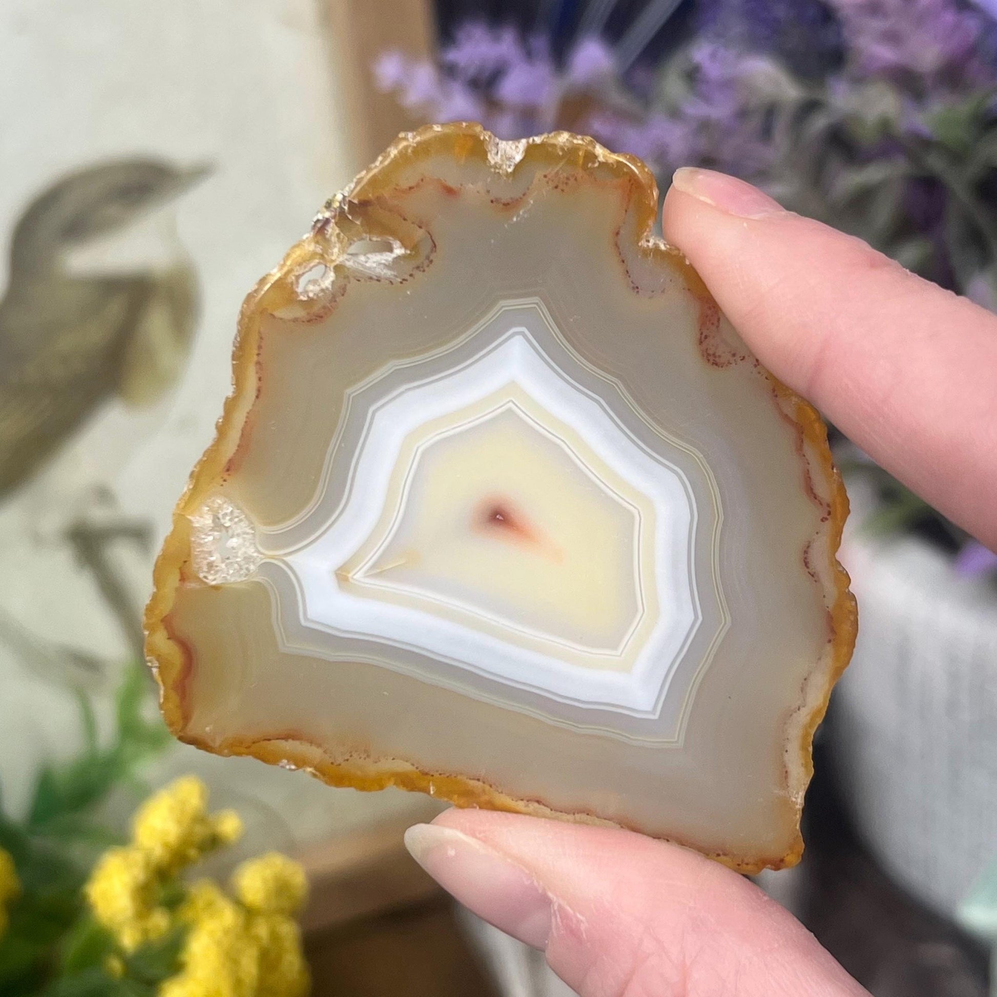 Rainbow Iris Agate | Iris Agate Slice