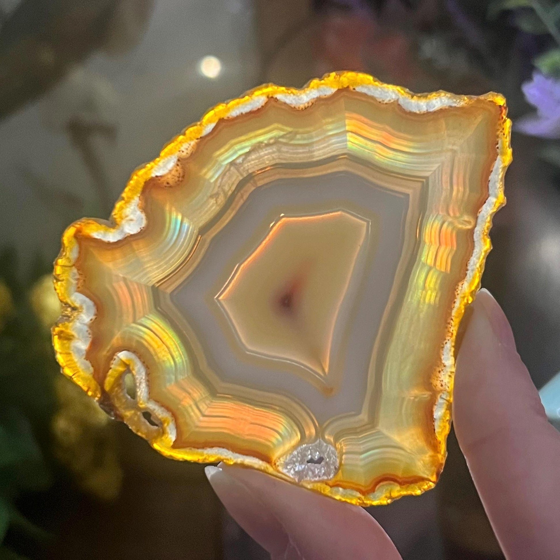 Rainbow Iris Agate | Iris Agate Slice