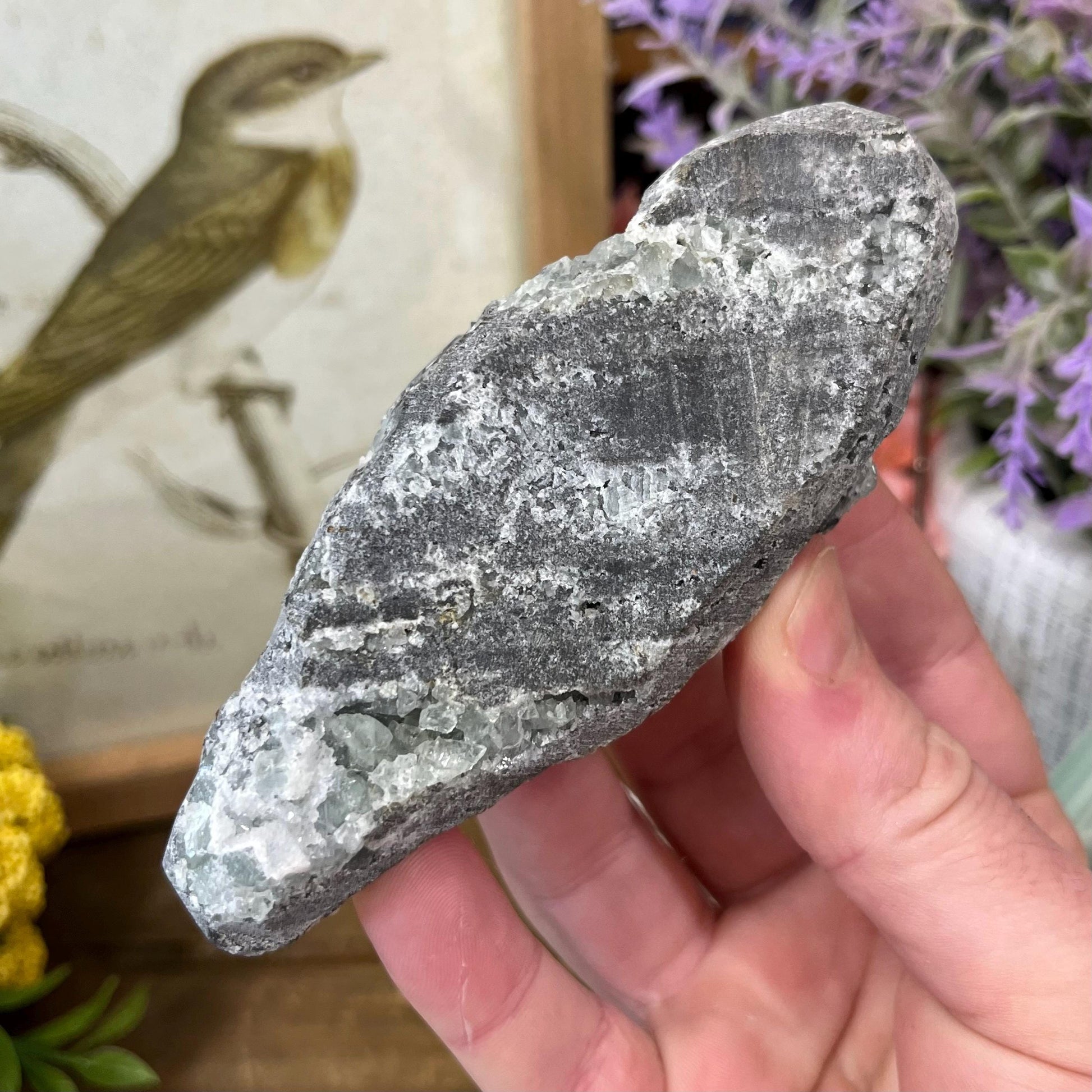 Cubic Fluorite with Quartz Specimen | Sugar Fluorite | Sugar Druzy | Light Green Fluorite Specimen