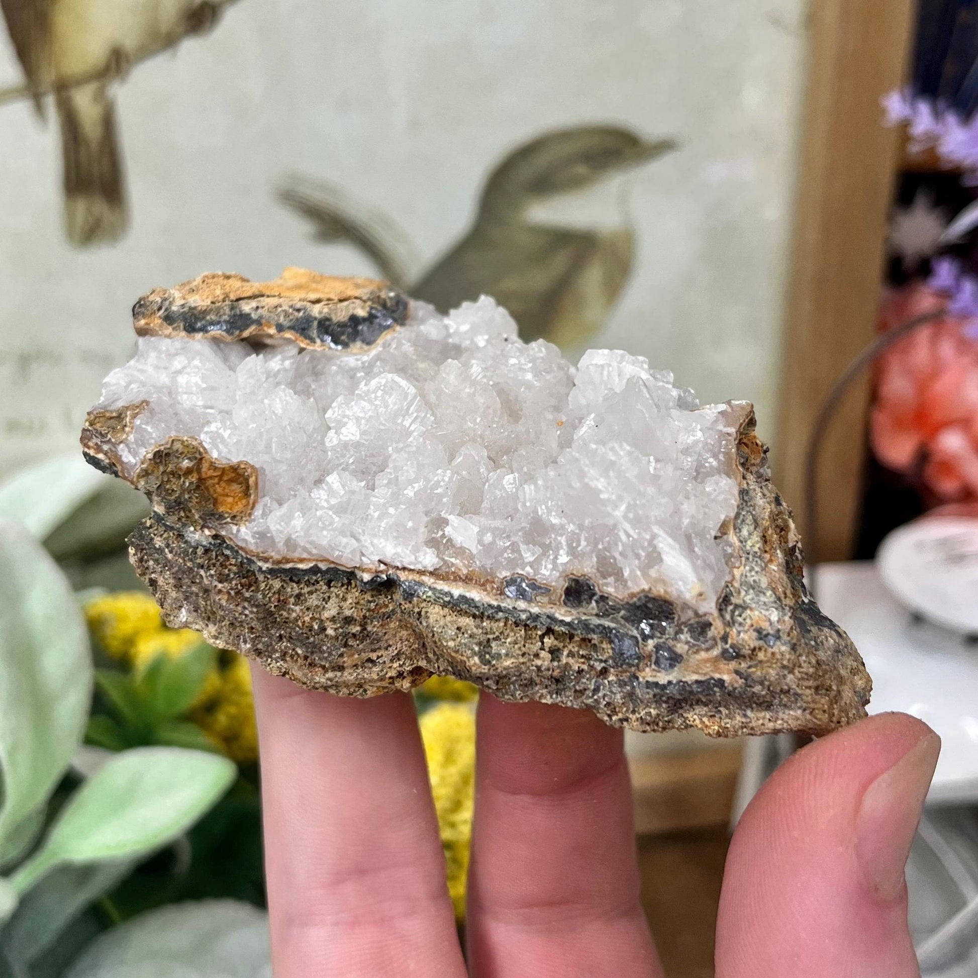 Calcite Cluster from Morocco | Calcite Specimen