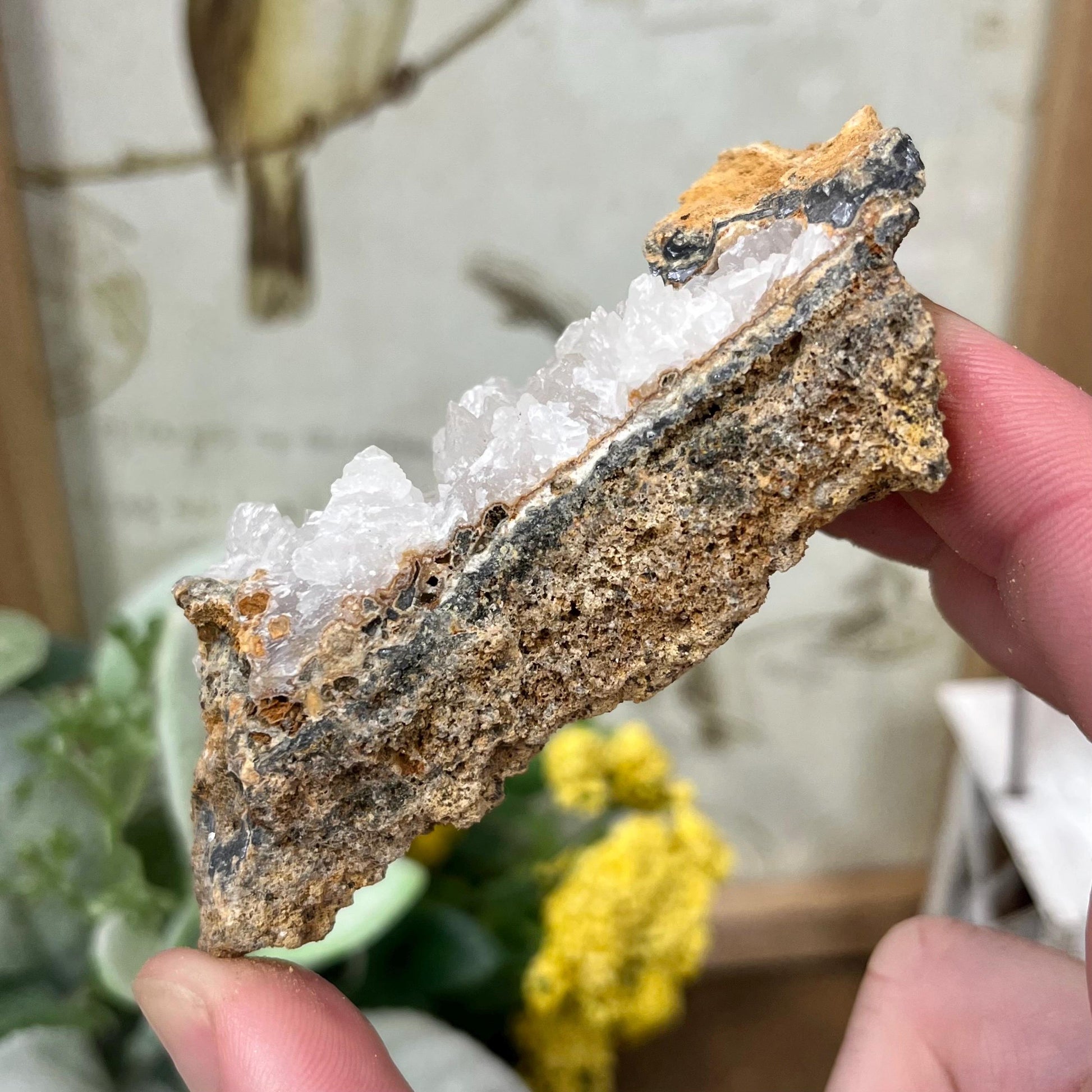 Calcite Cluster from Morocco | Calcite Specimen