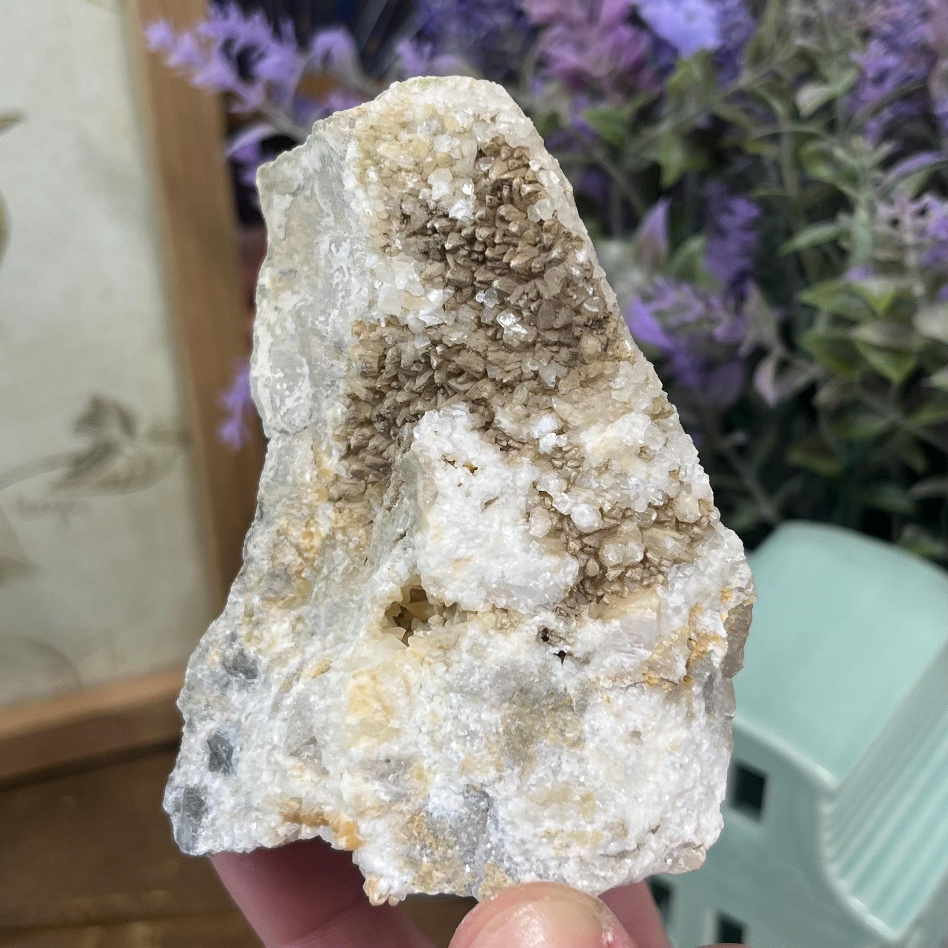 Calcite Crystals on Breccia from Utah | Calcite Clusters and Druzy | Unique Mineral Specimen | Dogtooth Calcite