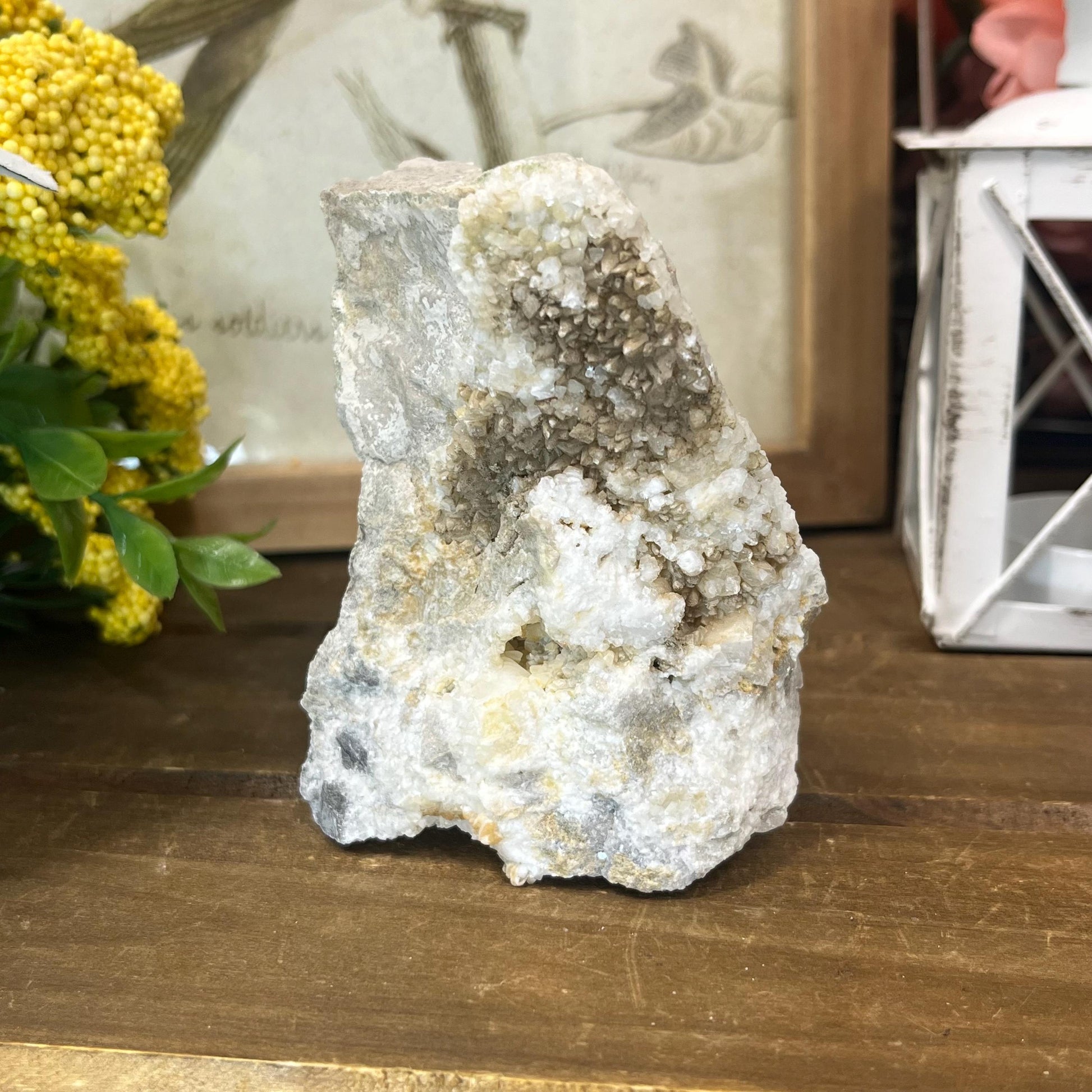 Calcite Crystals on Breccia from Utah | Calcite Clusters and Druzy | Unique Mineral Specimen | Dogtooth Calcite