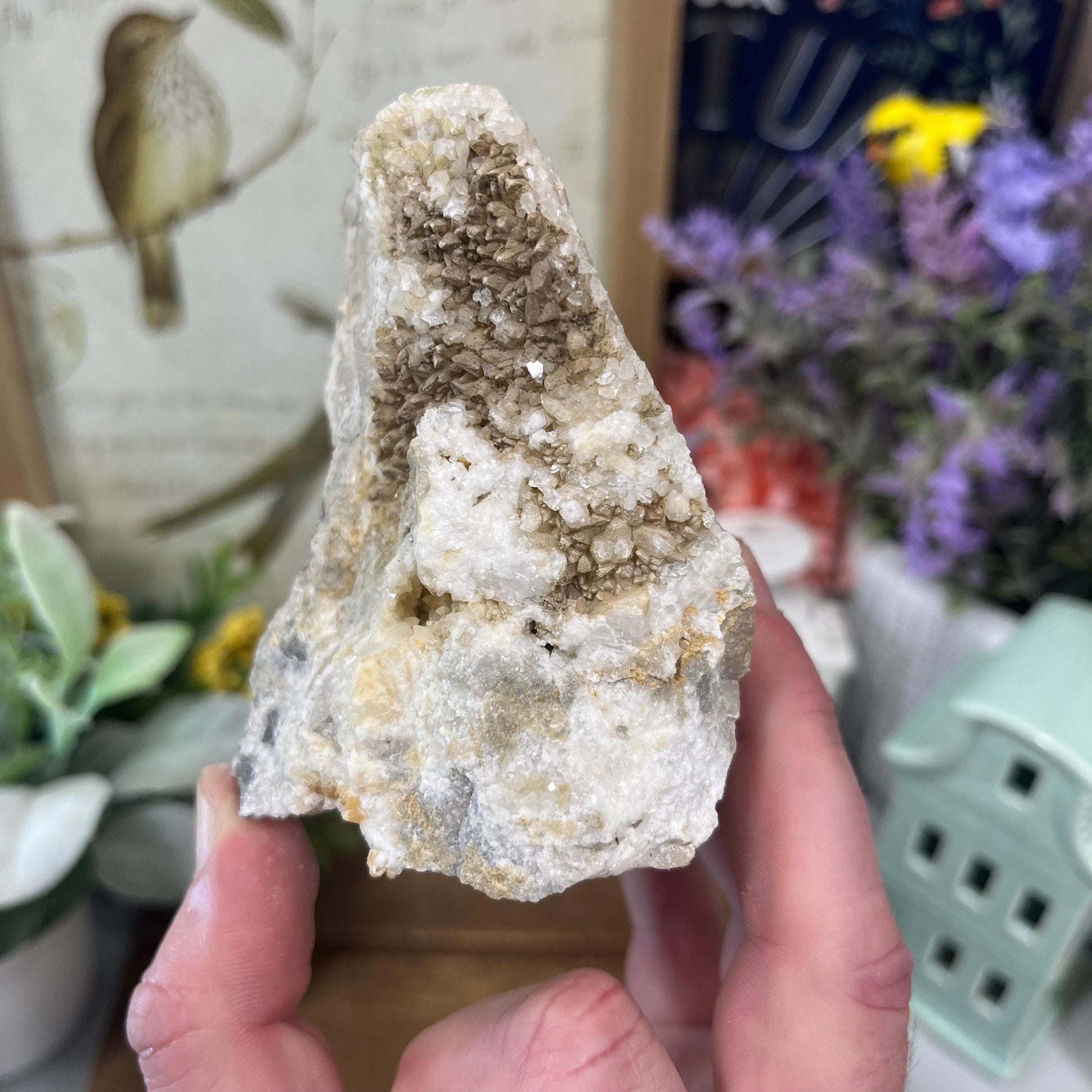 Calcite Crystals on Breccia from Utah | Calcite Clusters and Druzy | Unique Mineral Specimen | Dogtooth Calcite