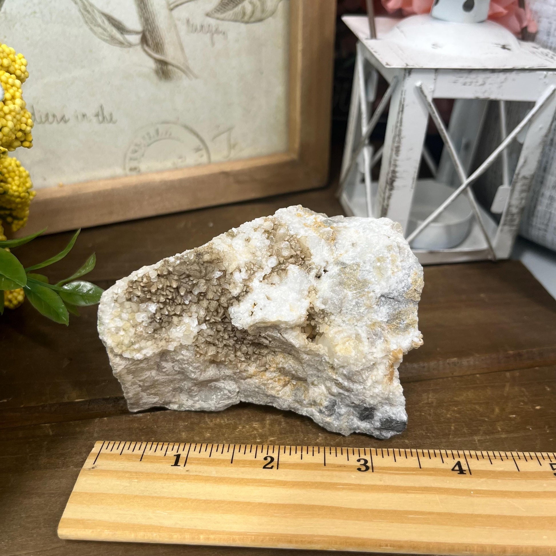 Calcite Crystals on Breccia from Utah | Calcite Clusters and Druzy | Unique Mineral Specimen | Dogtooth Calcite