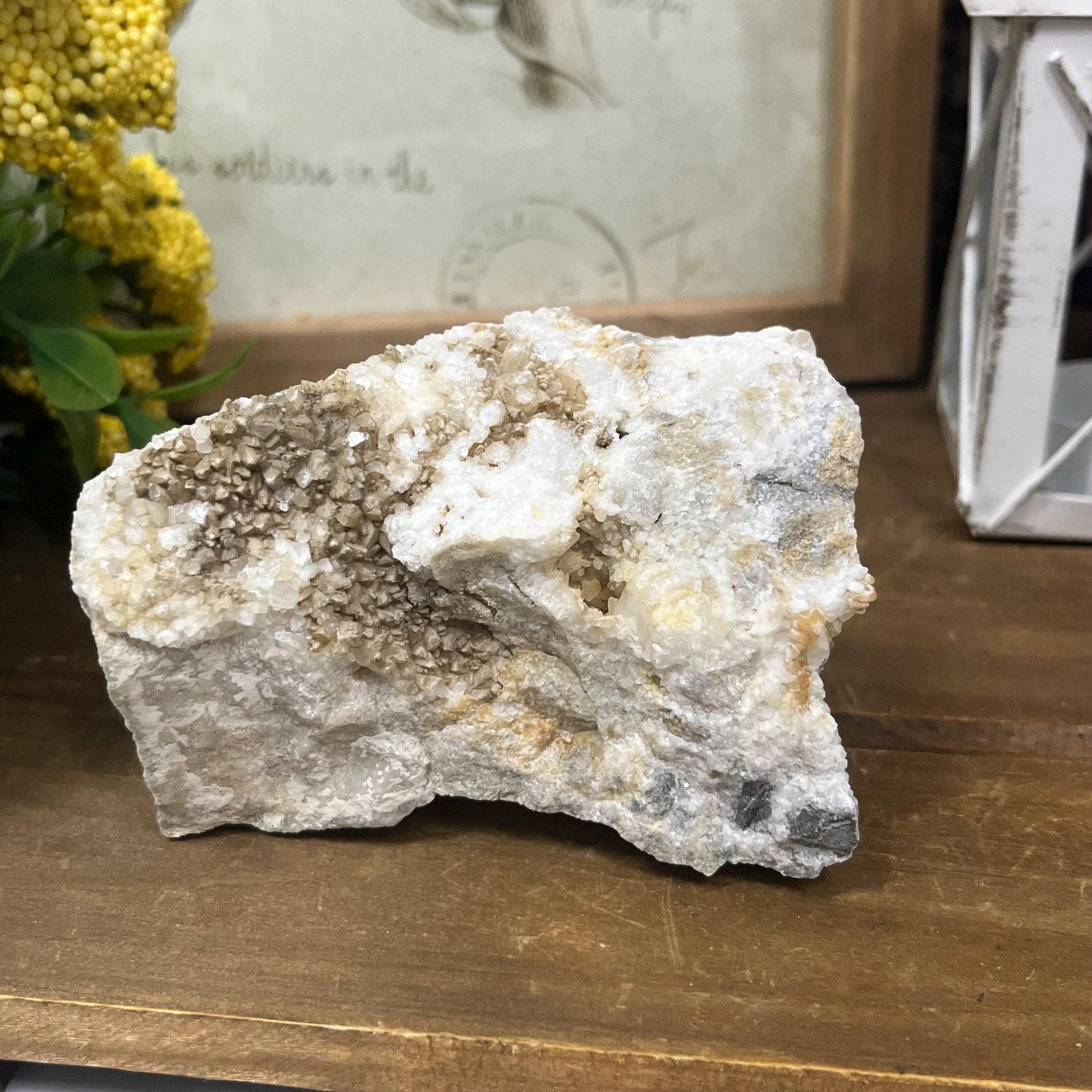 Calcite Crystals on Breccia from Utah | Calcite Clusters and Druzy | Unique Mineral Specimen | Dogtooth Calcite