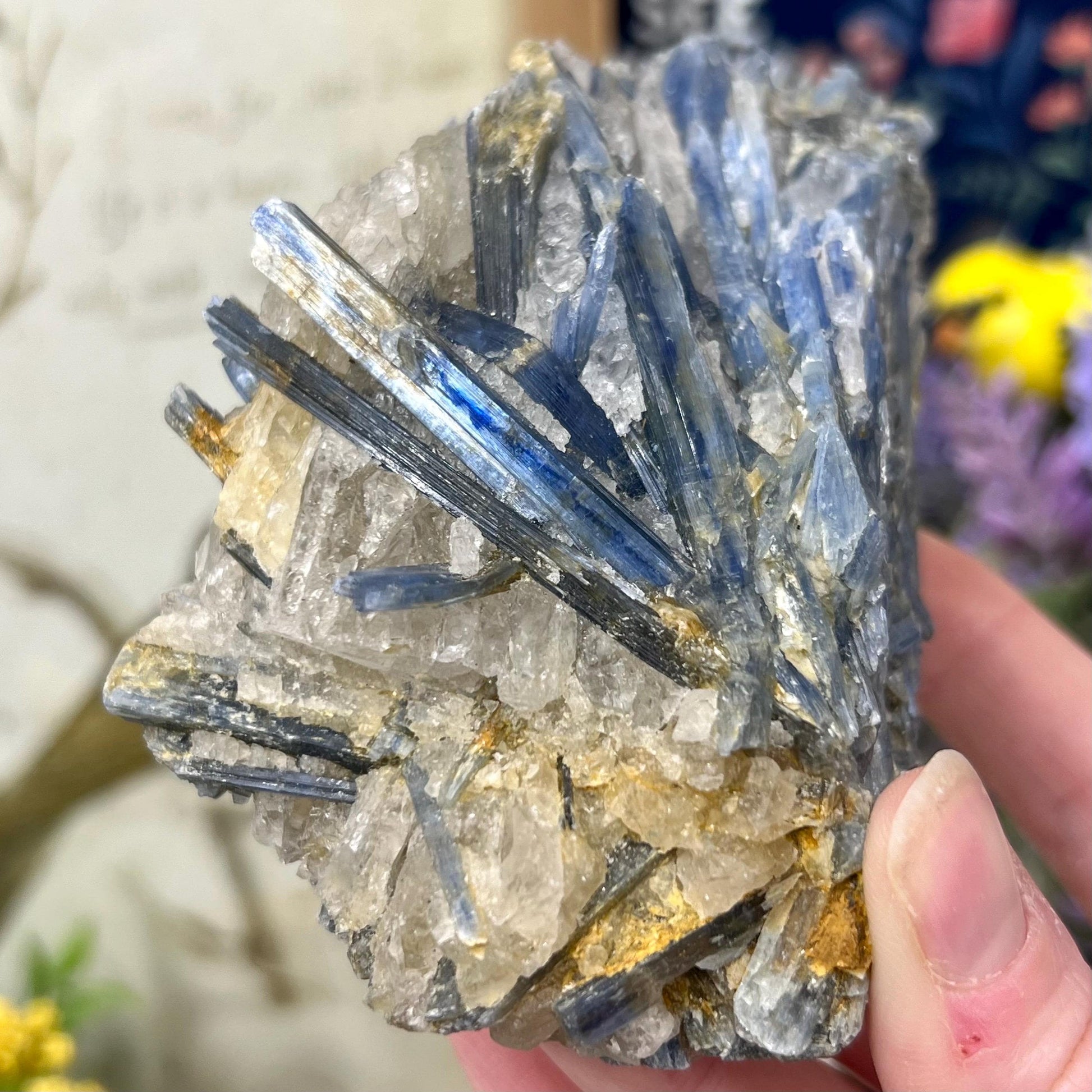 Amazing Blue Kyanite in Quartz Specimen | Raw Blue Kyanite Blades | Kyanite Cluster