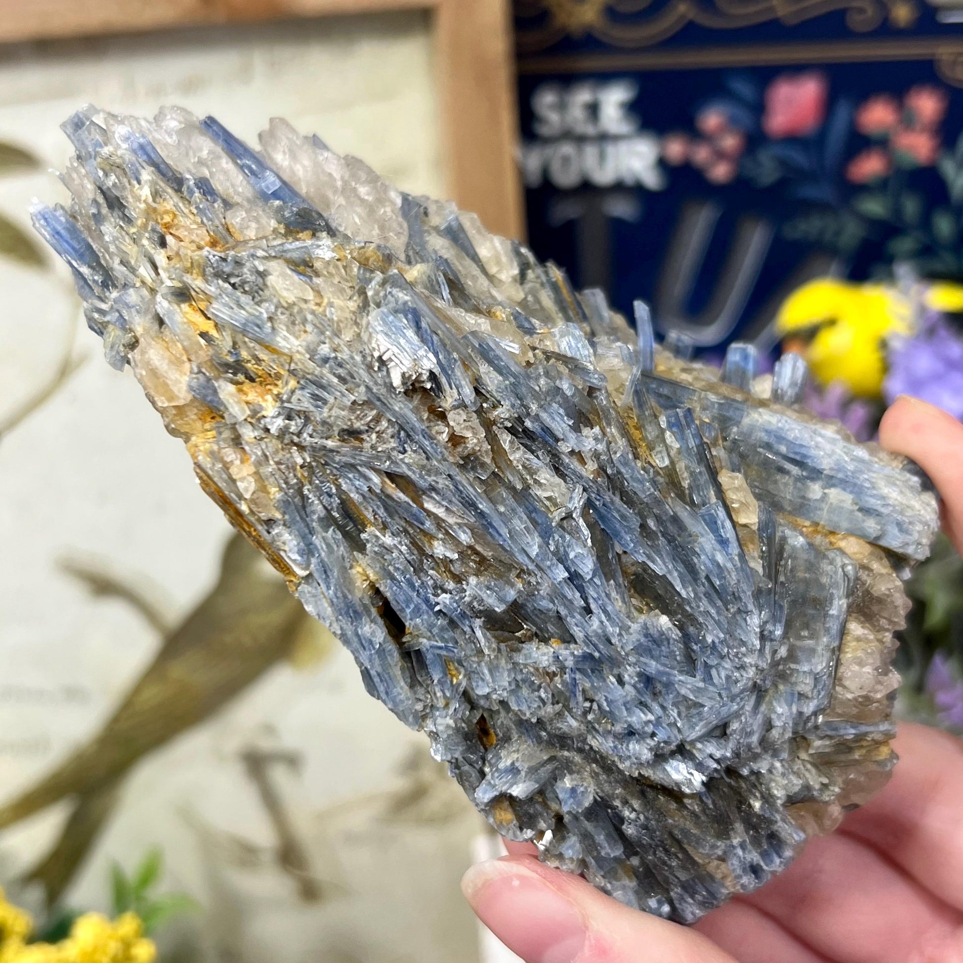 Amazing Blue Kyanite in Quartz Specimen | Raw Blue Kyanite Blades | Kyanite Cluster