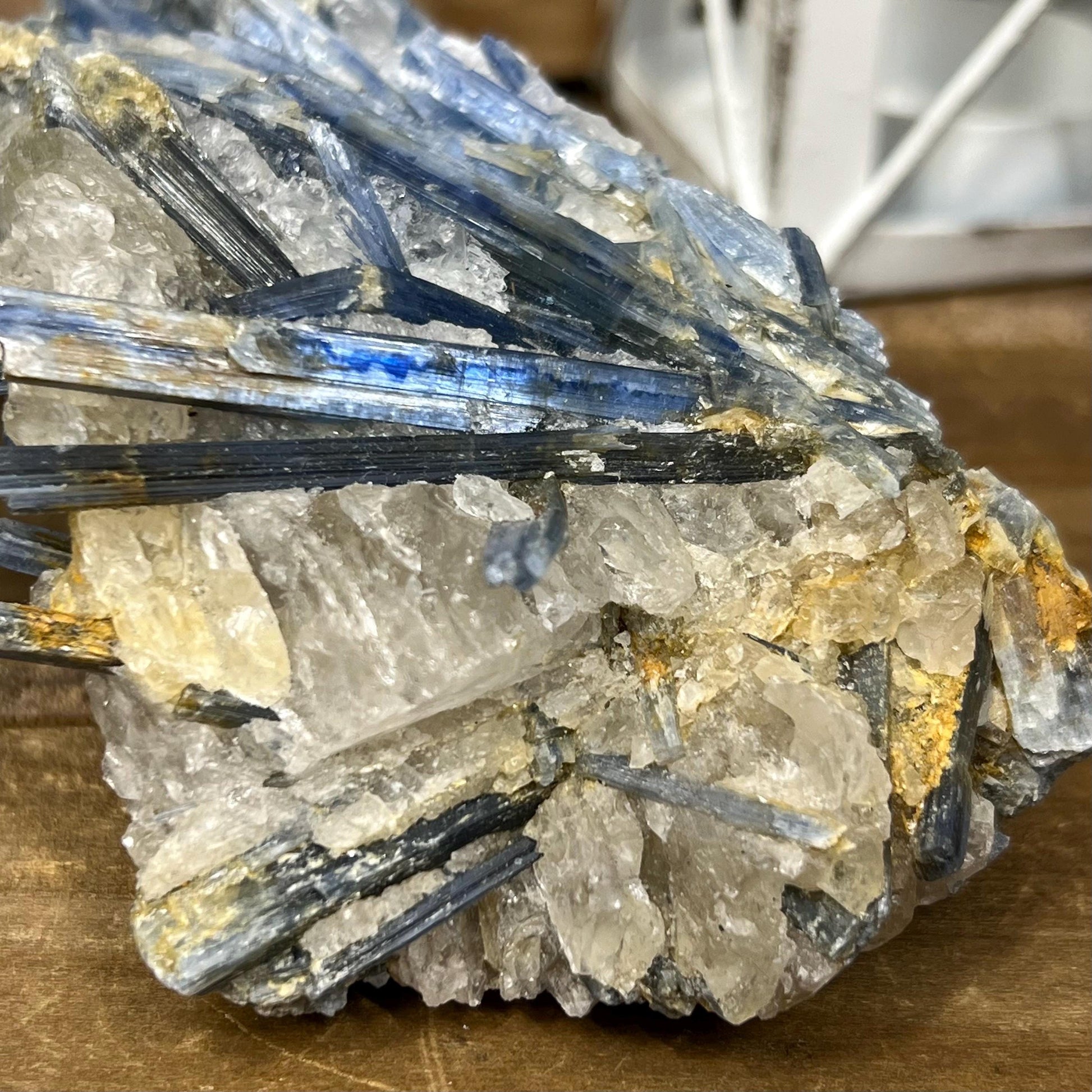 Amazing Blue Kyanite in Quartz Specimen | Raw Blue Kyanite Blades | Kyanite Cluster