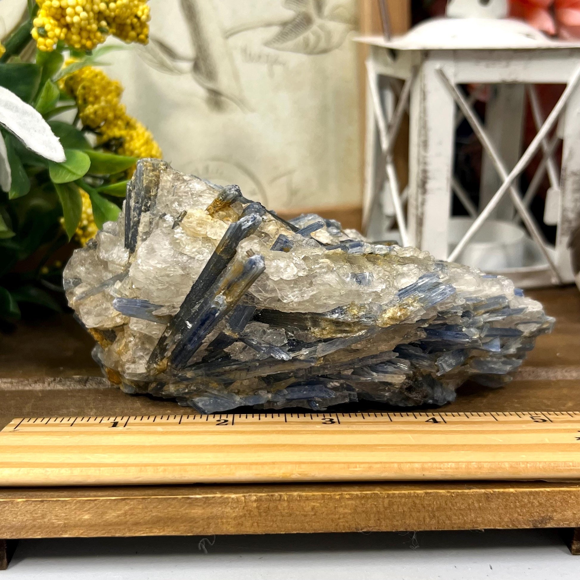 Amazing Blue Kyanite in Quartz Specimen | Raw Blue Kyanite Blades | Kyanite Cluster