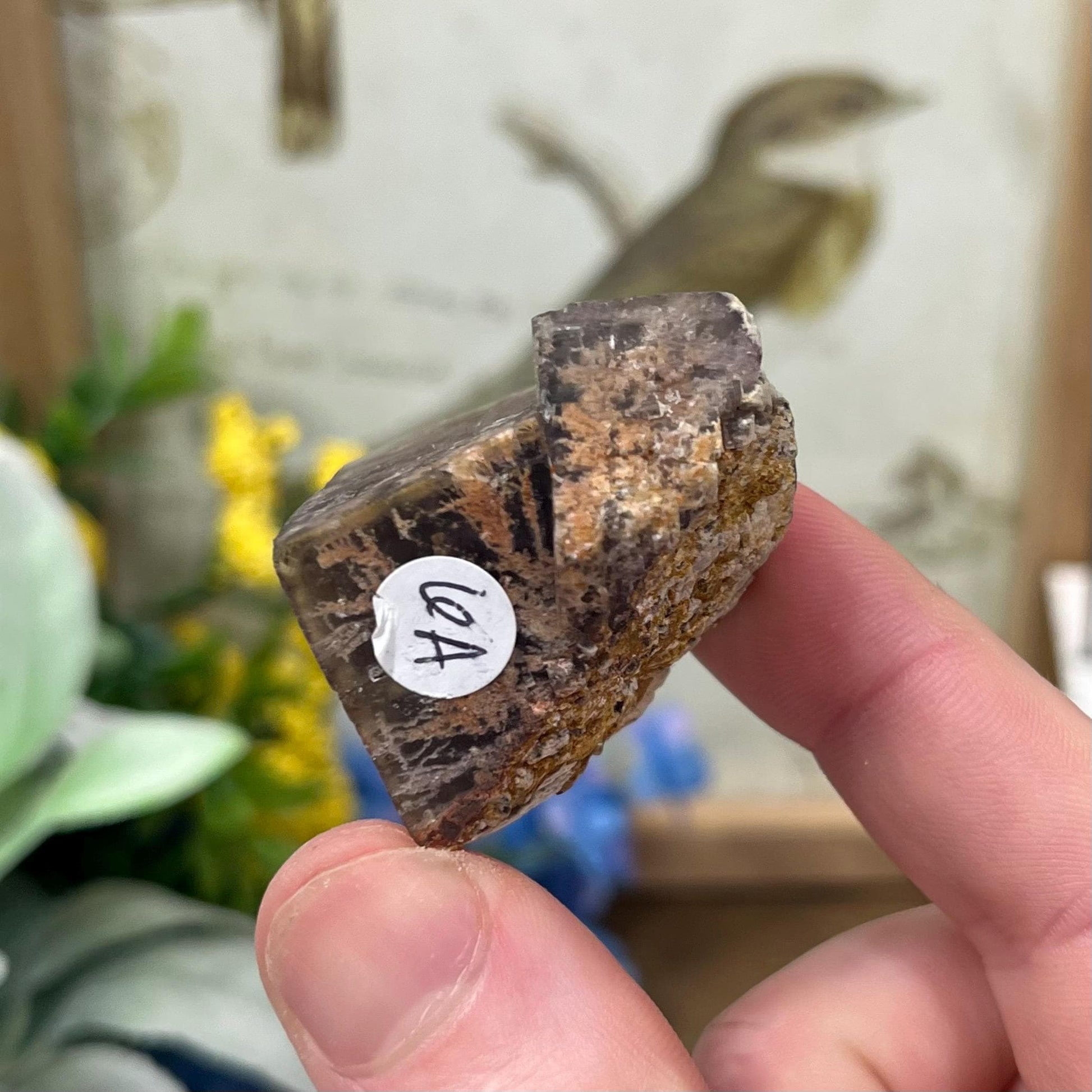 Moroccan Fluorite Specimen | Multicolored Fluorite