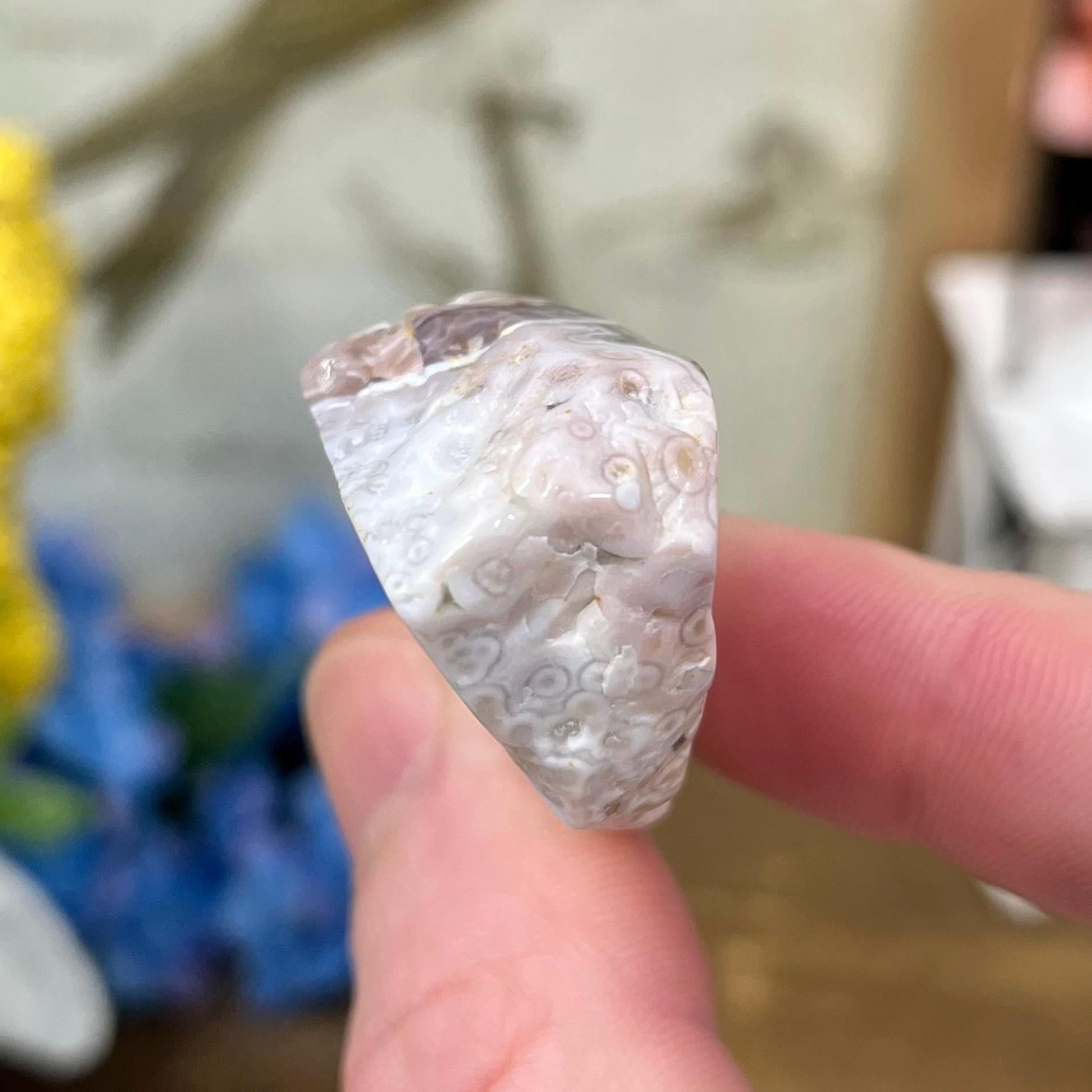 Veinless Ocean Jasper Chunk | Ocean Jasper Tumble | Orbicular Ocean Jasper