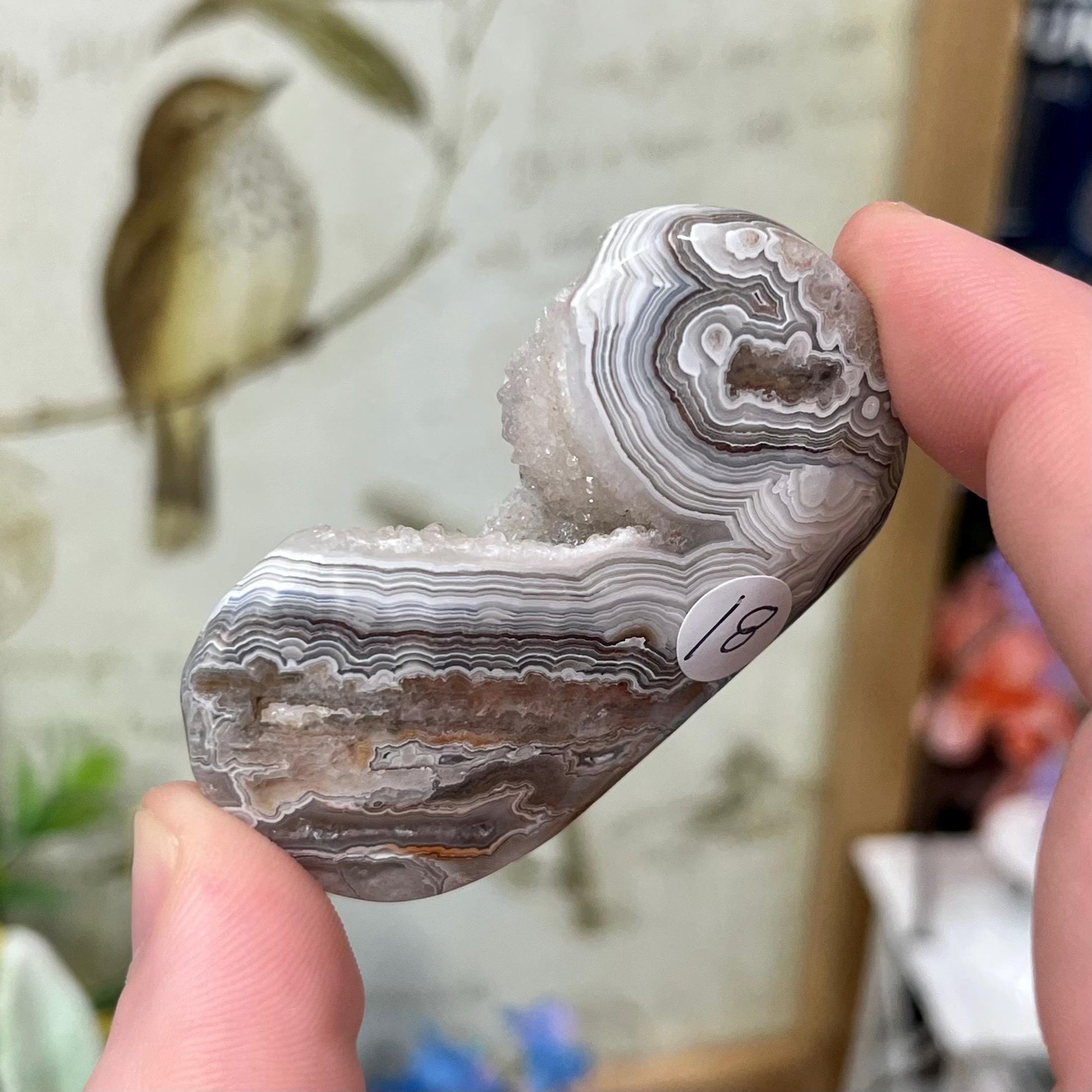 Druzy Mexican Lace Agate Palm | Banded Agate | Crazy Lace Agate