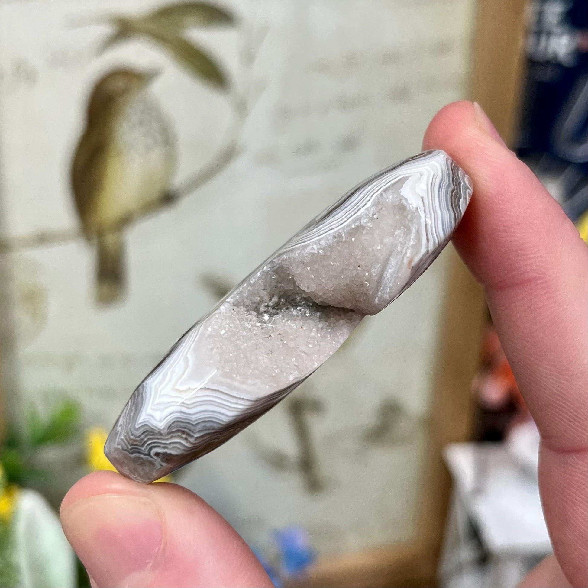 Druzy Mexican Lace Agate Palm | Banded Agate | Crazy Lace Agate