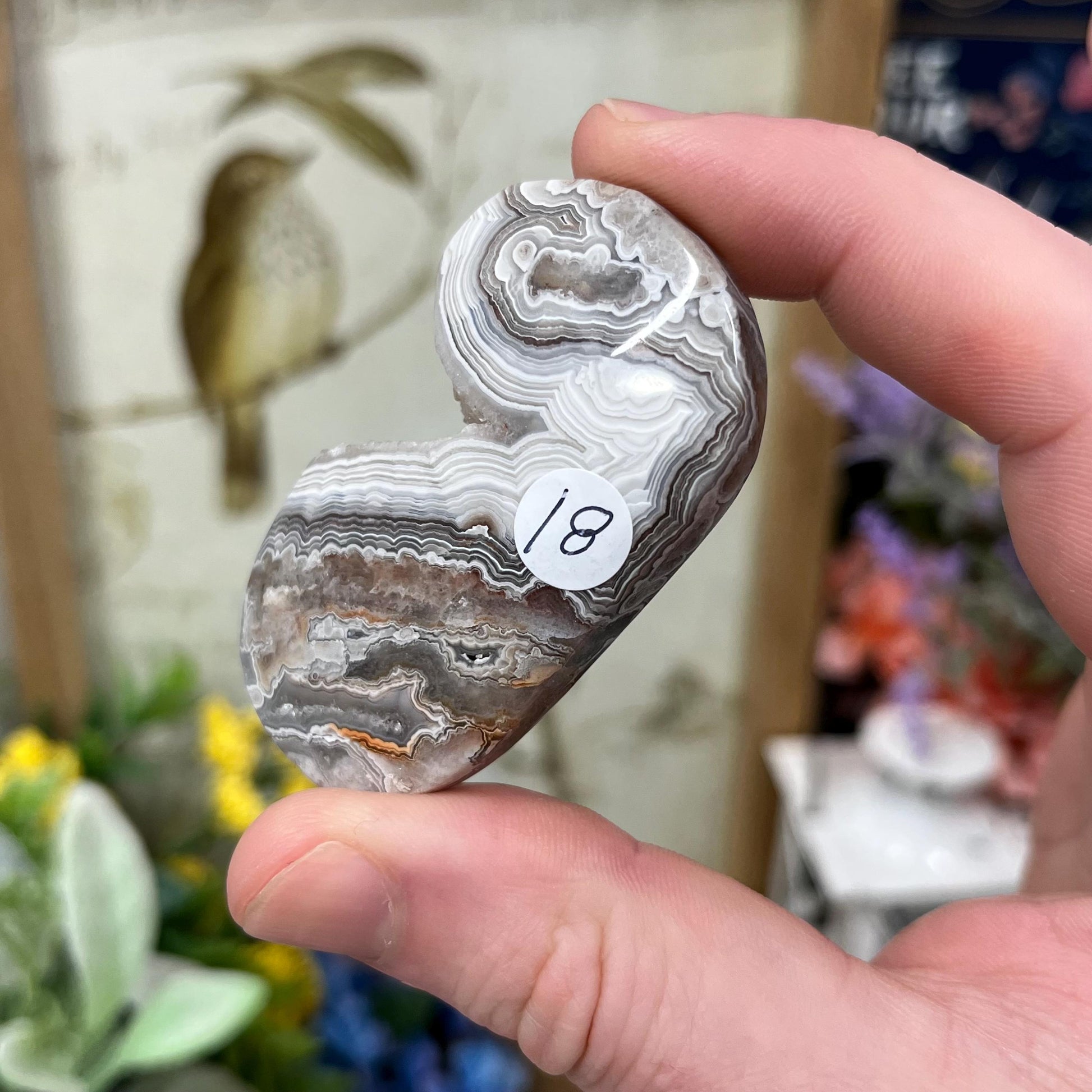 Druzy Mexican Lace Agate Palm | Banded Agate | Crazy Lace Agate