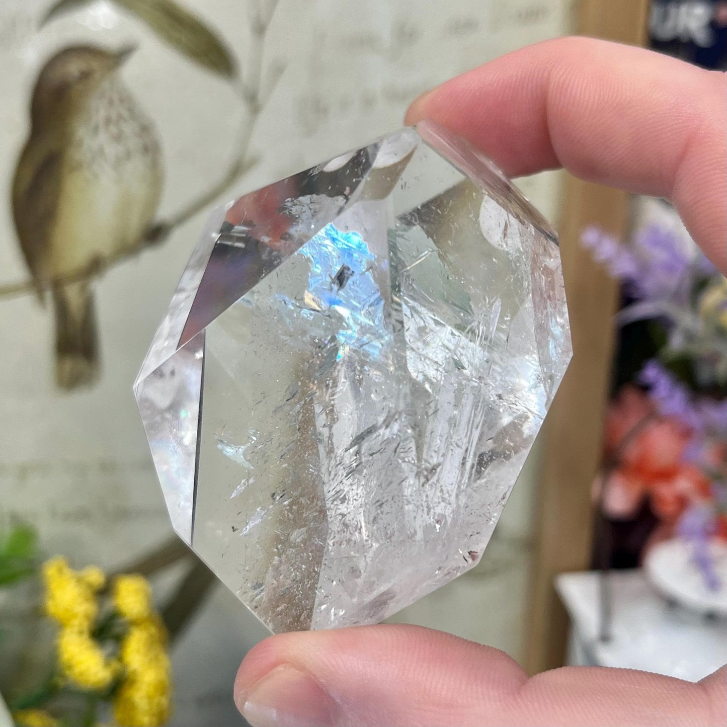 High Quality Clear Quartz Freeform with Rainbows | Rainbow Quartz