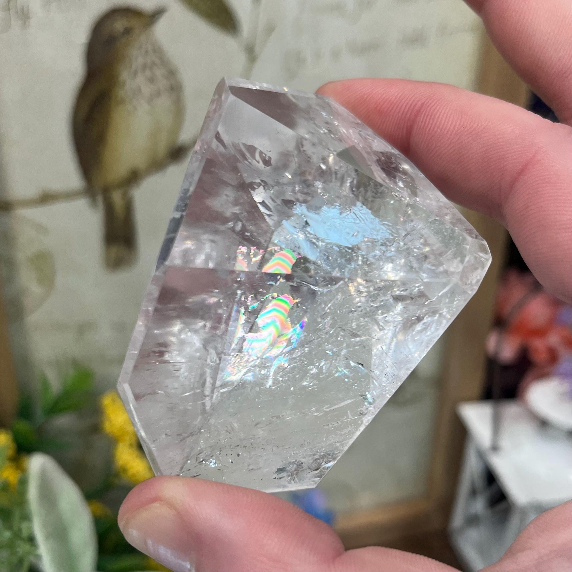 High Quality Clear Quartz Freeform with Rainbows | Rainbow Quartz
