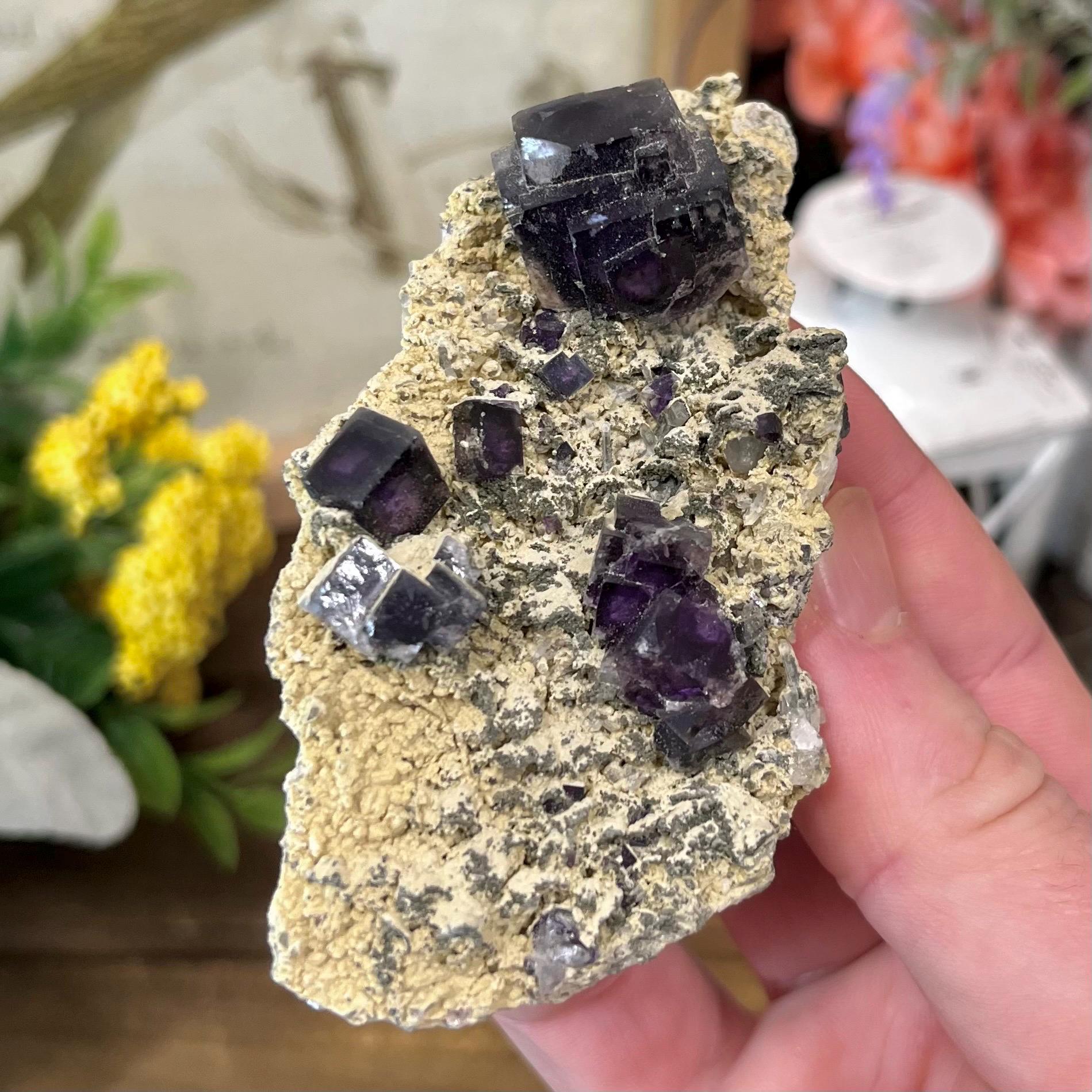 Cubic Fluorite Specimen on Matrix | Dark Purple Fluorite