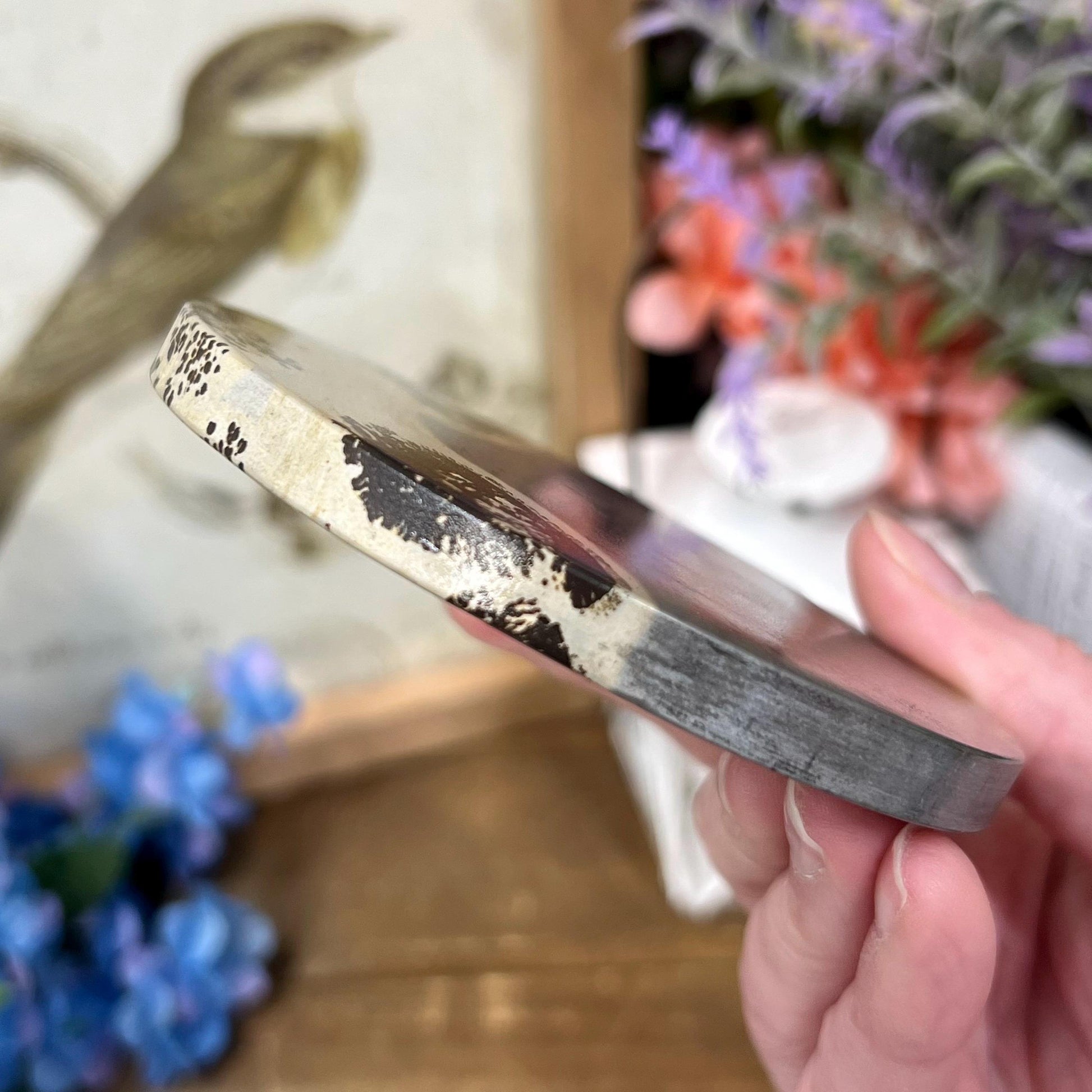 Picture Jasper Slab | Dendritic Jasper