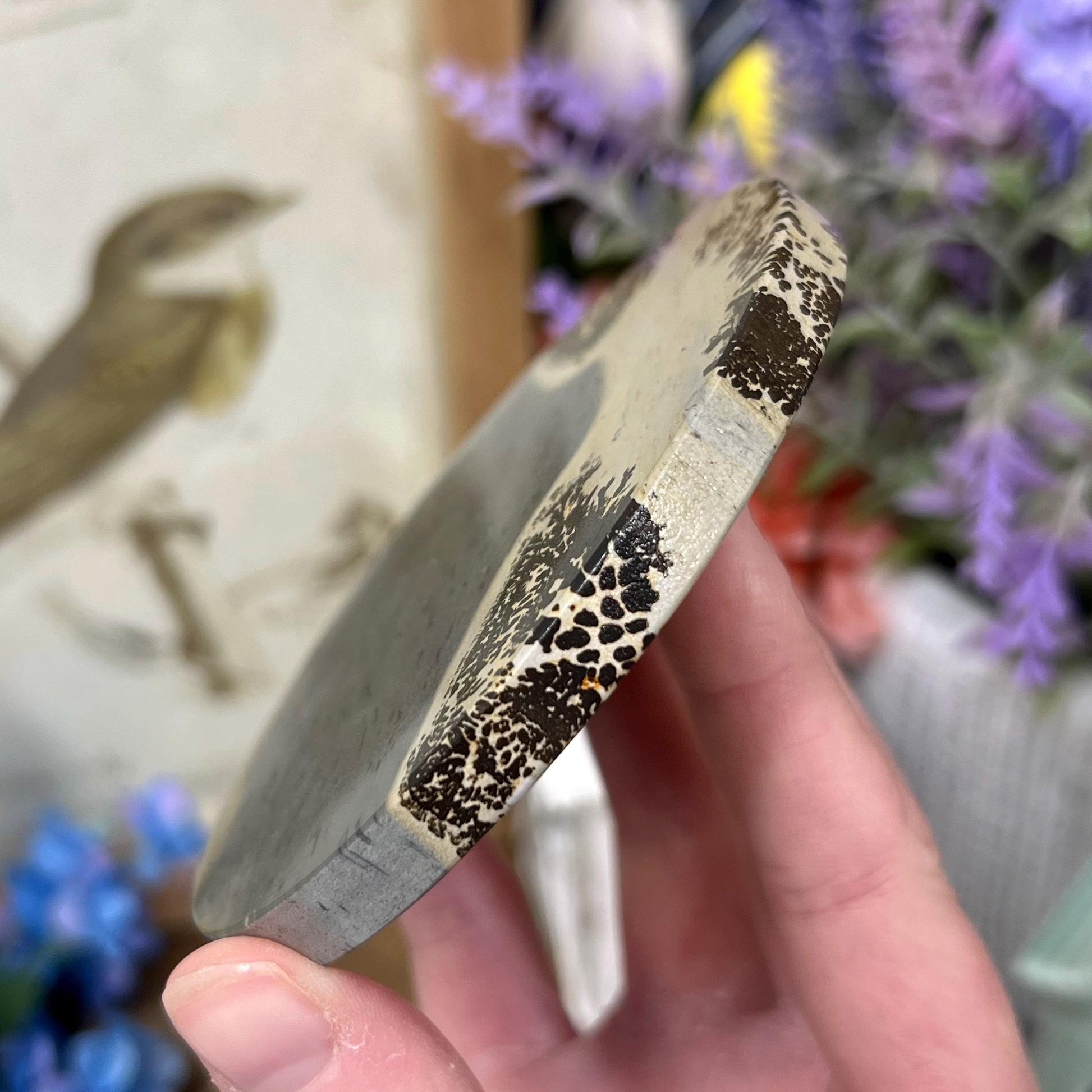 Picture Jasper Slab | Dendritic Jasper
