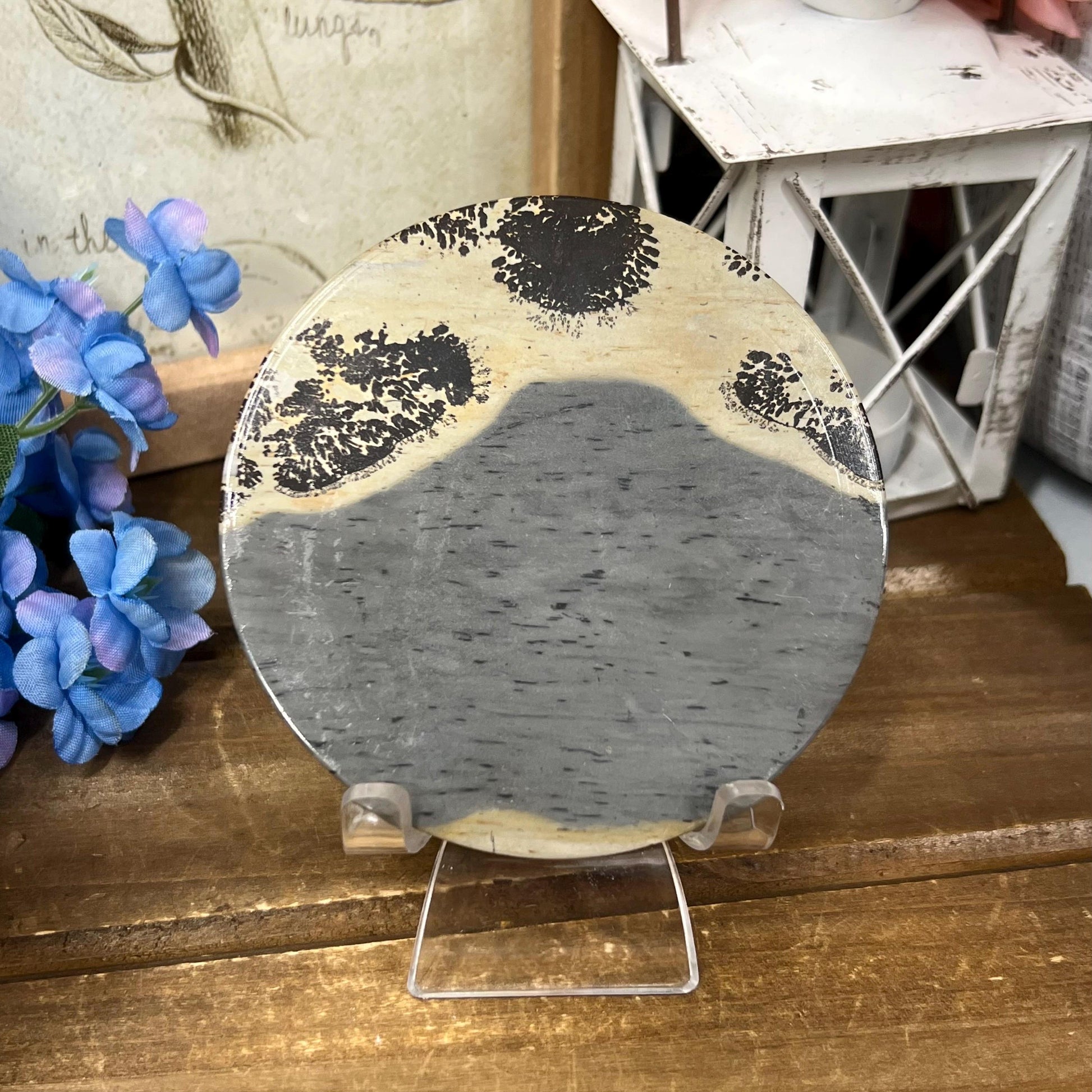 Picture Jasper Slab | Dendritic Jasper