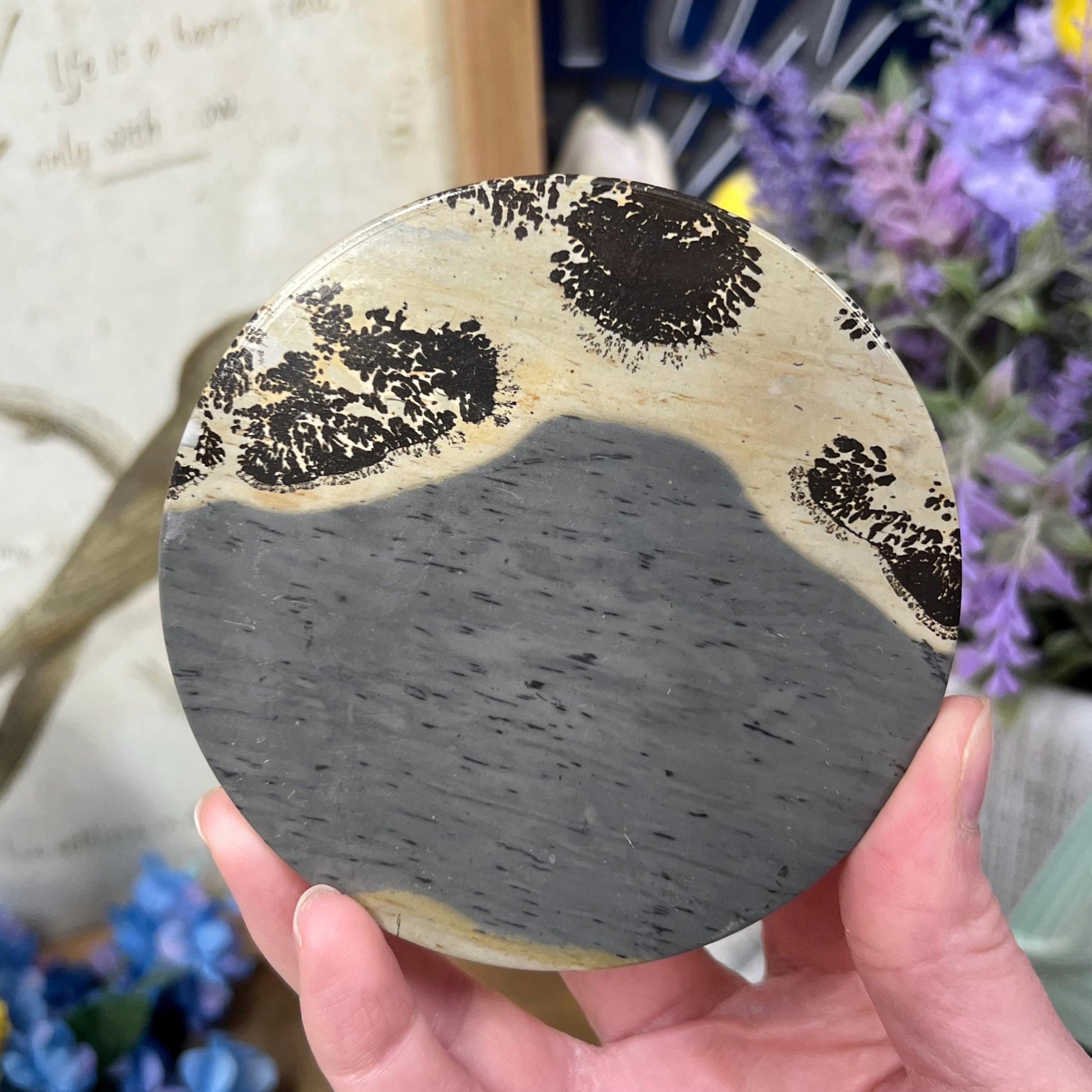 Picture Jasper Slab | Dendritic Jasper