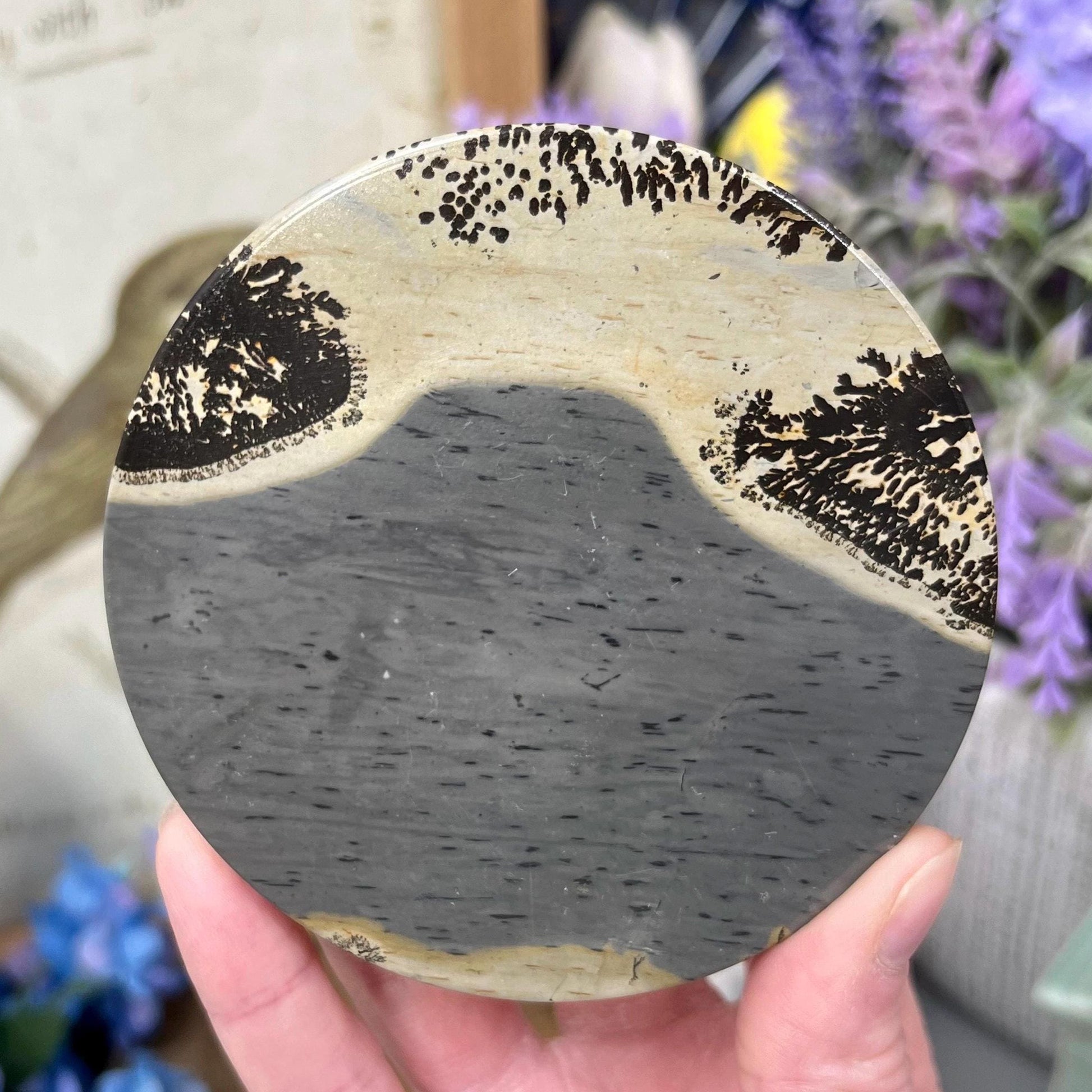 Picture Jasper Slab | Dendritic Jasper
