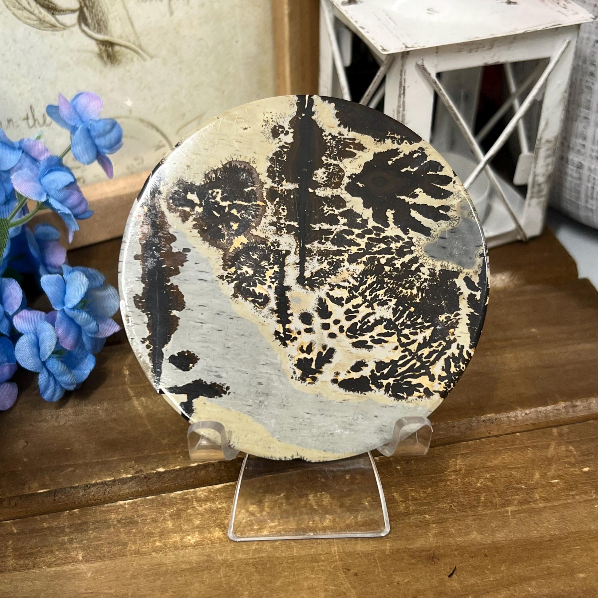 Picture Jasper Slab | Dendritic Jasper