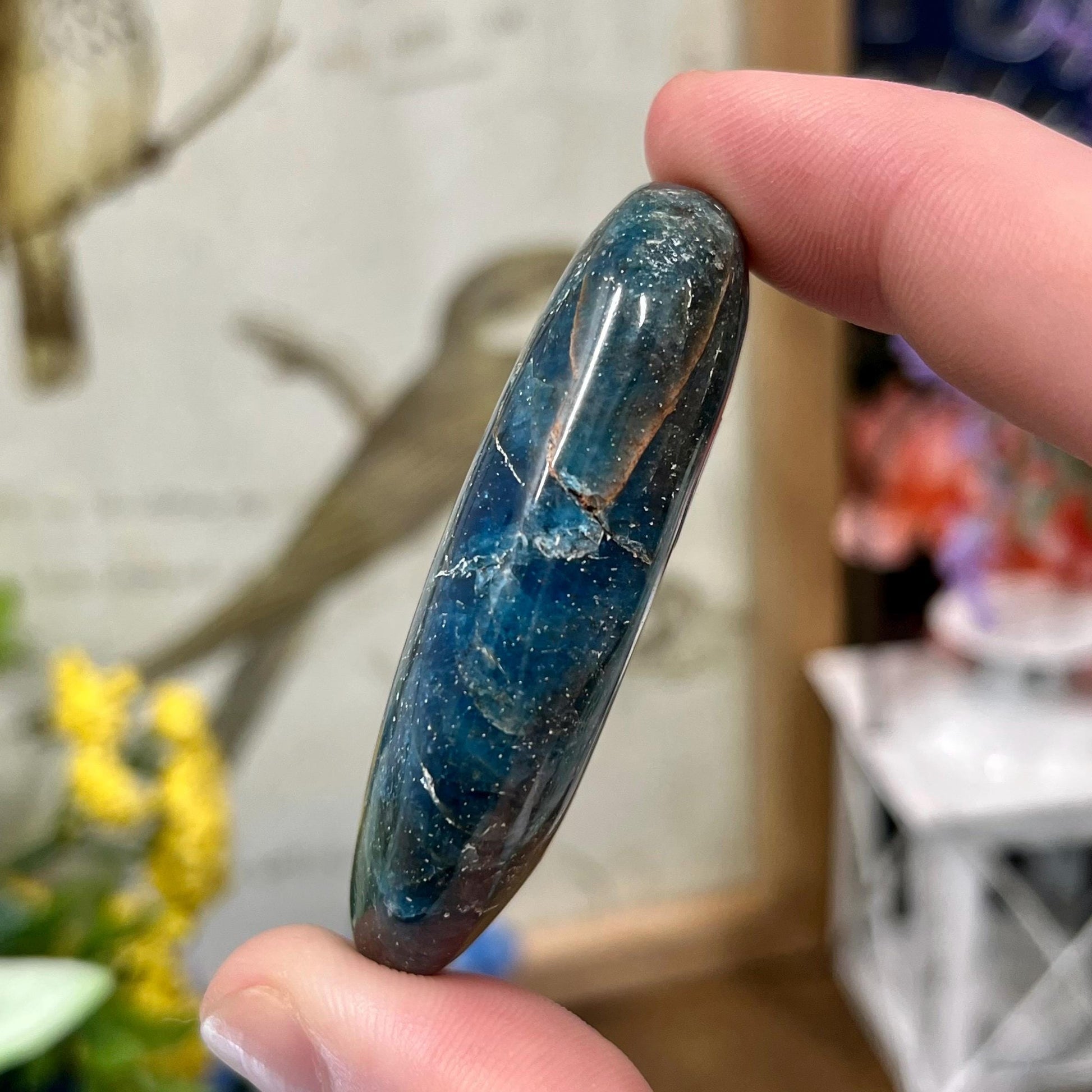 Blue Apatite Palm Stone | Flashy Blue Apatite
