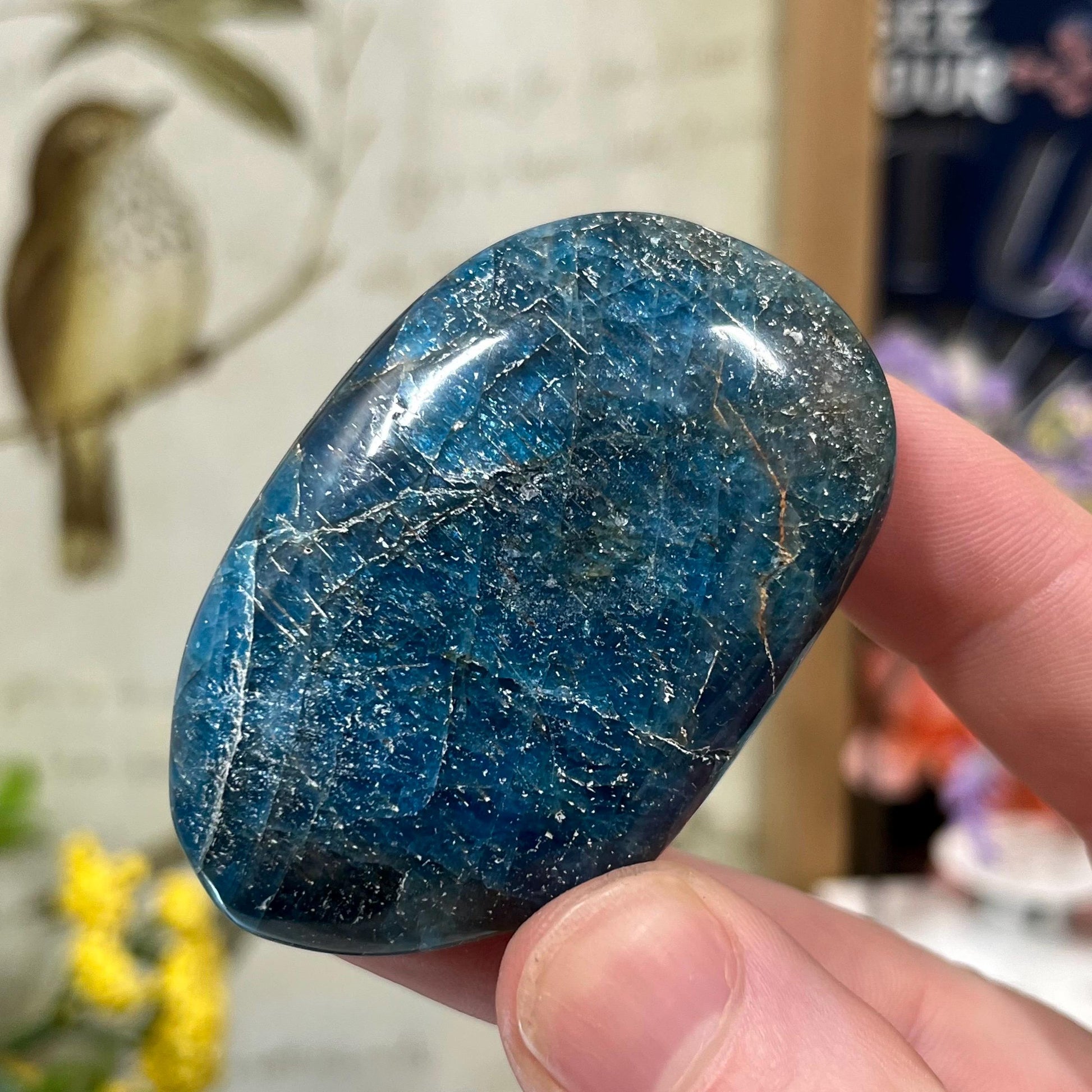 Blue Apatite Palm Stone | Flashy Blue Apatite