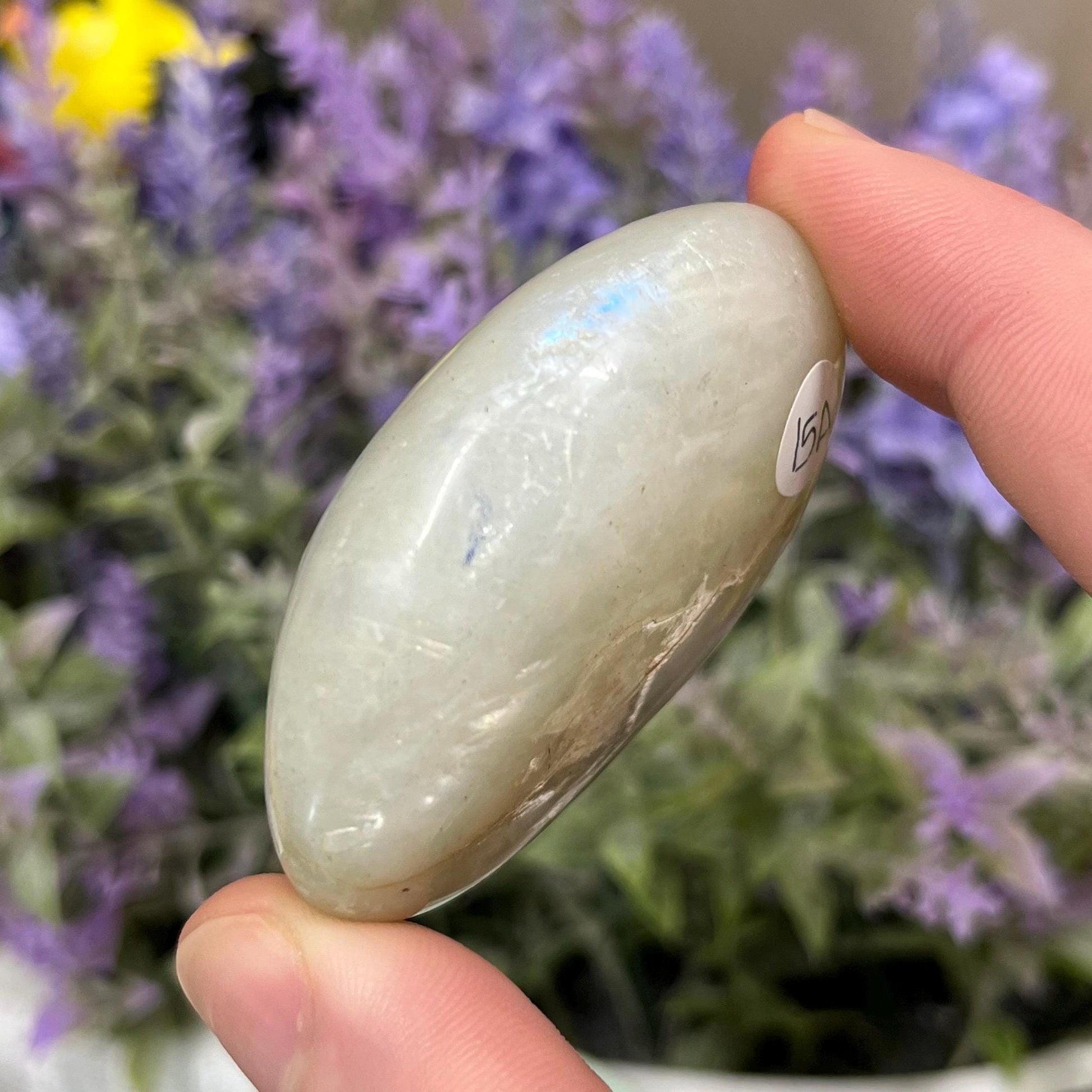 Green Moonstone Palm Stone with Blue Flash | Garnierite Palm