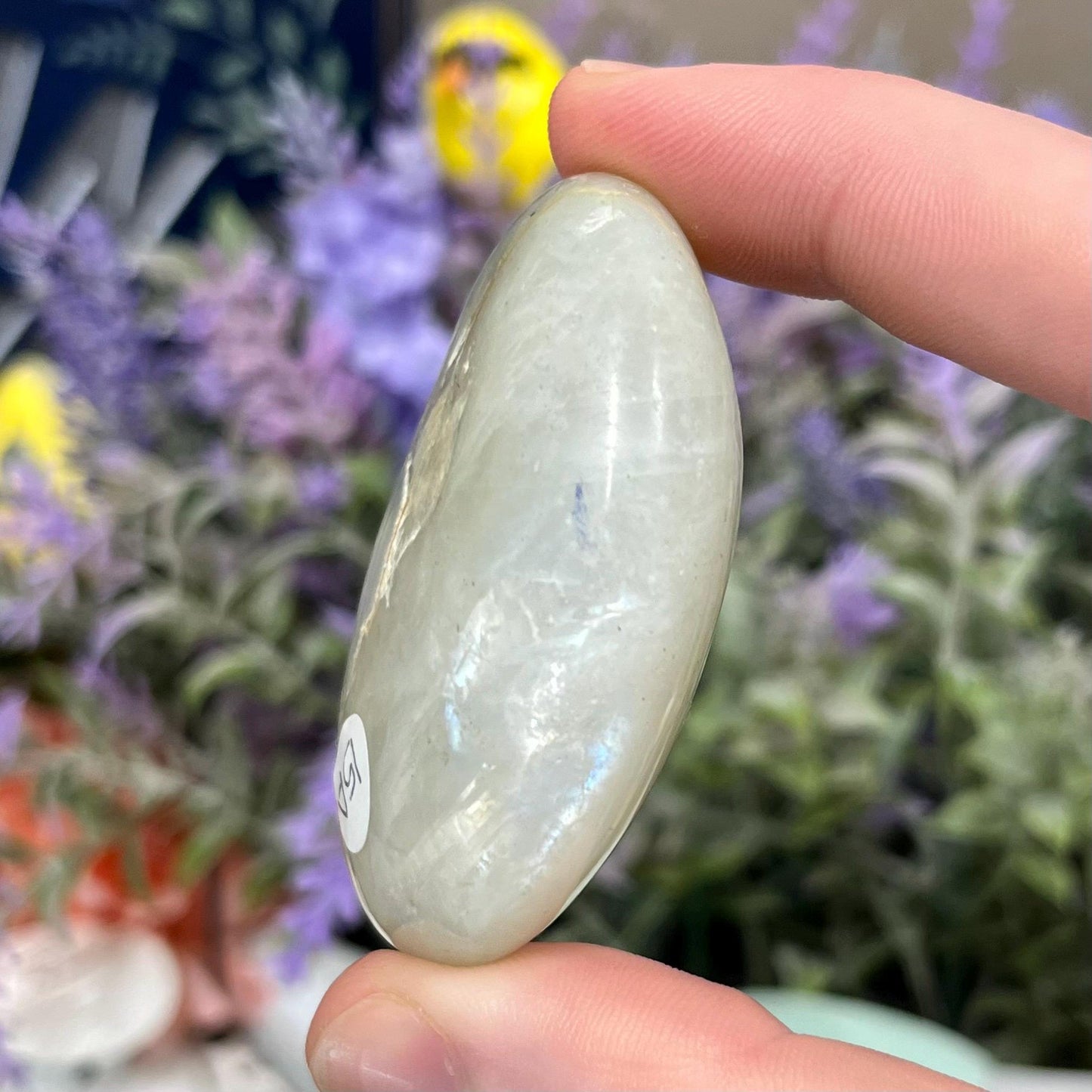 Green Moonstone Palm Stone with Blue Flash | Garnierite Palm