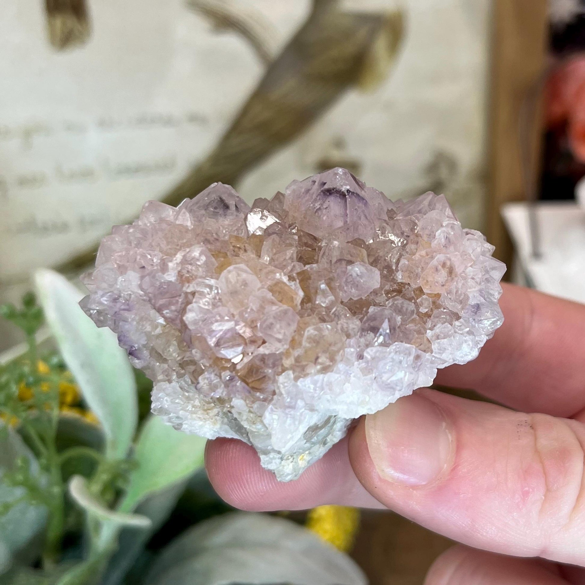 High Quality Spirit Quartz | Spirit Amethyst | Cactus Quartz
