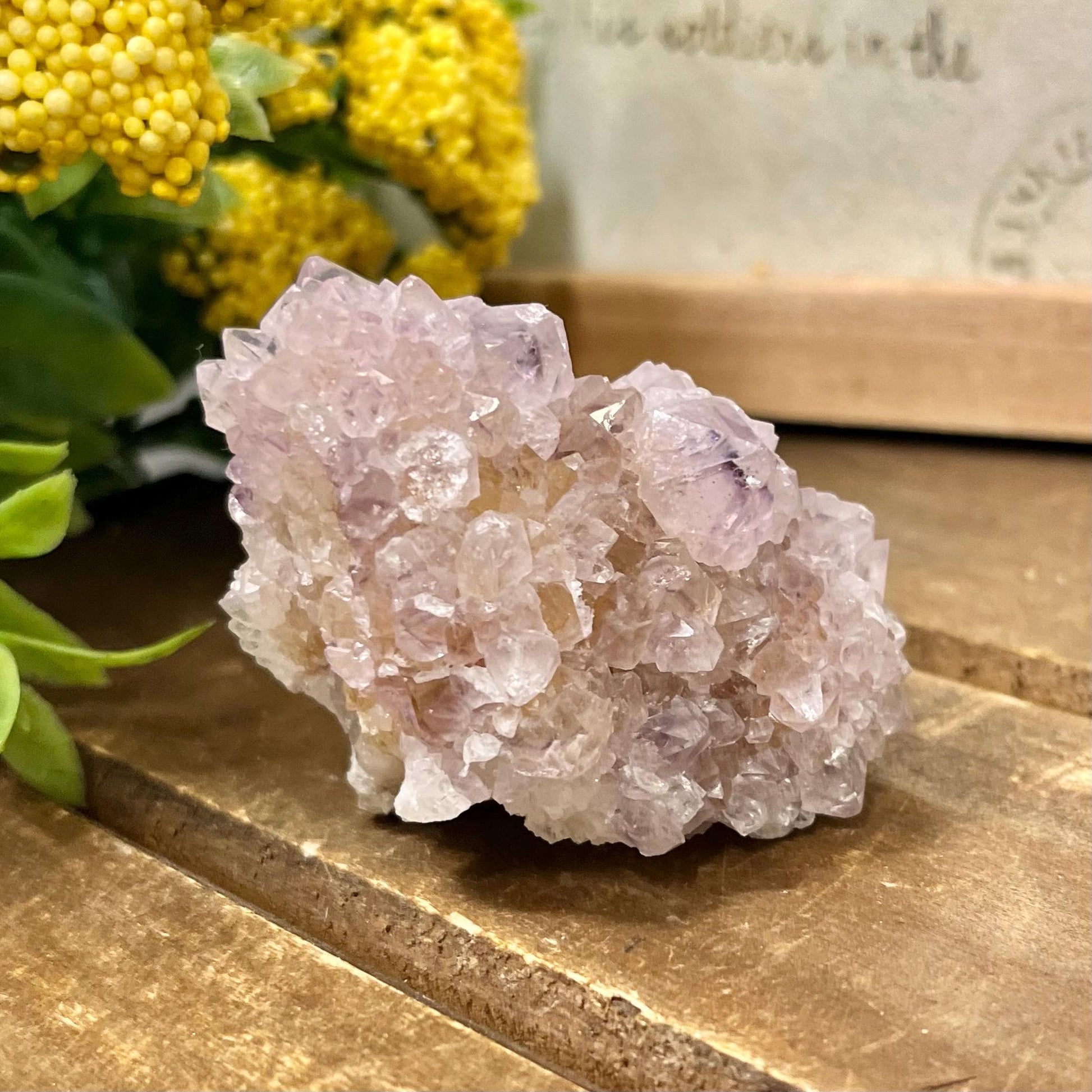 High Quality Spirit Quartz | Spirit Amethyst | Cactus Quartz