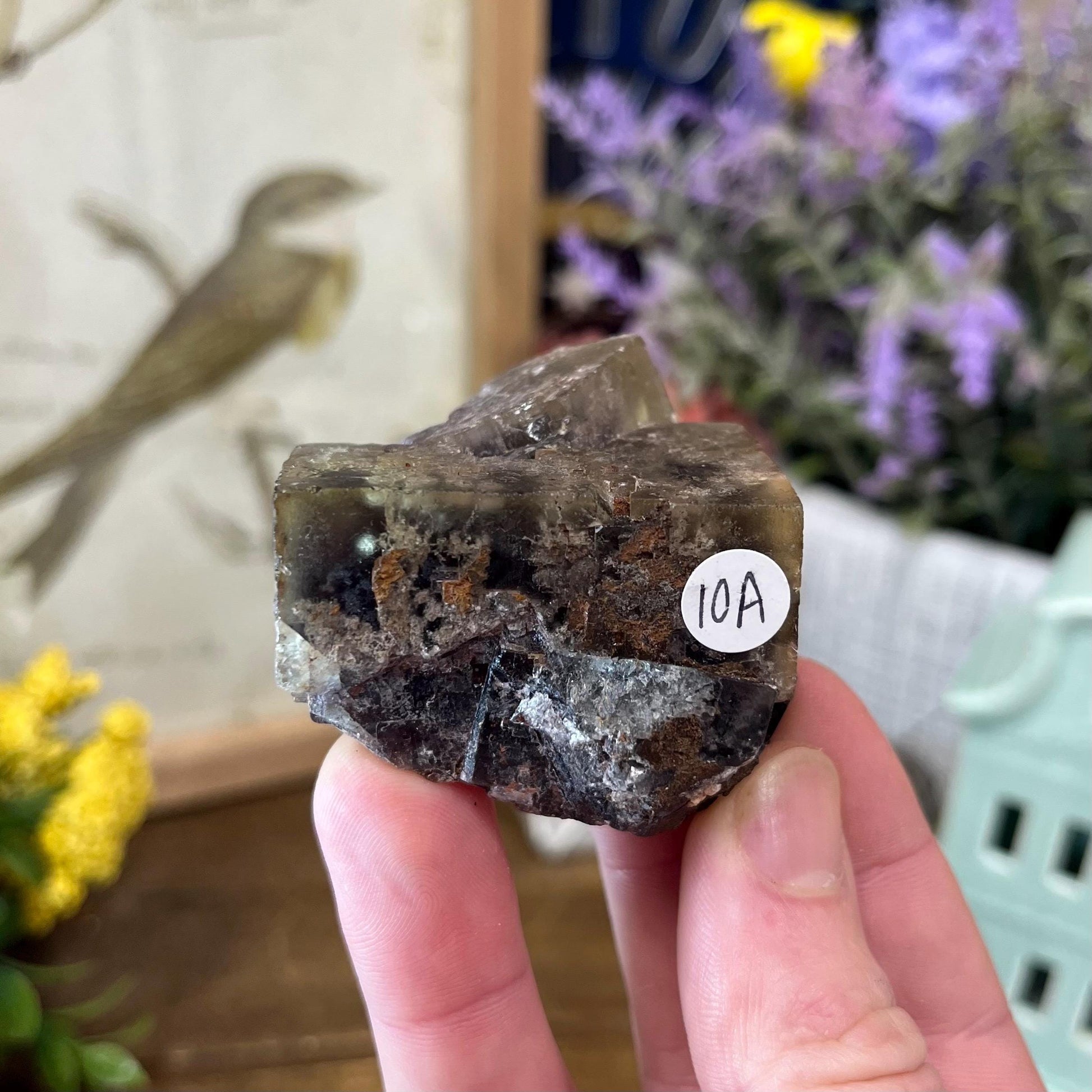 Moroccan Fluorite Specimen | Multicolored Fluorite