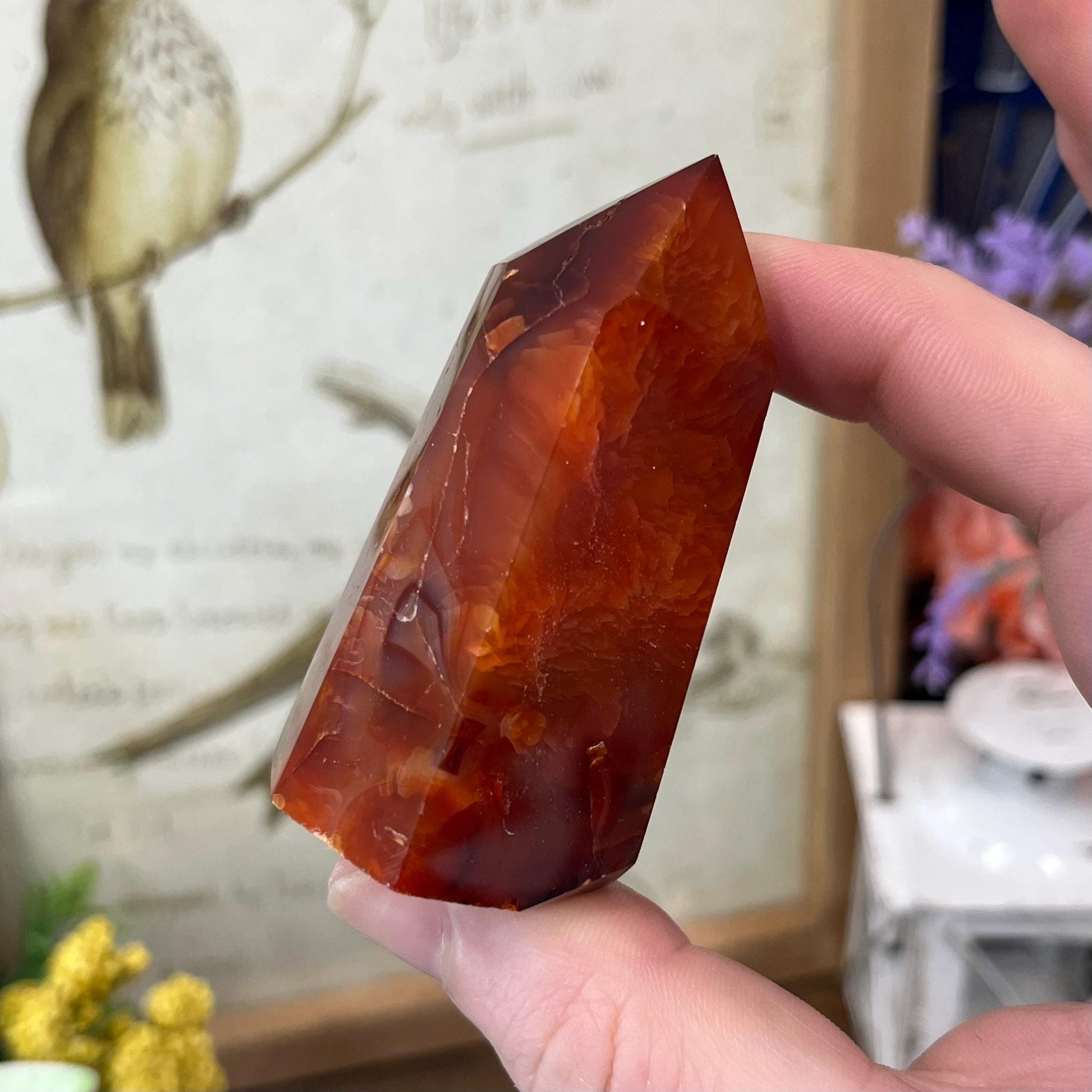 Dark Carnelian Tower | Red Carnelian Agate