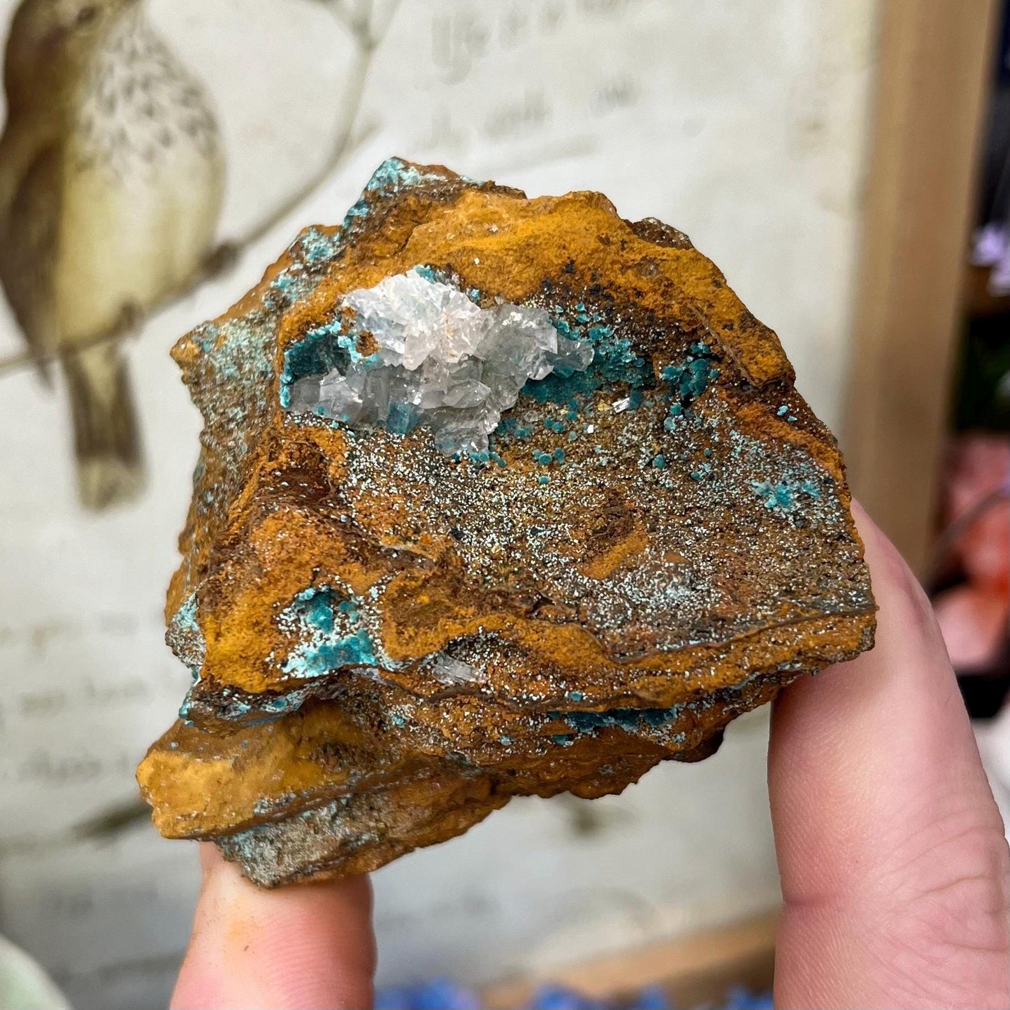 Rosasite with Calcite from La Ojuela Mine, Mexico