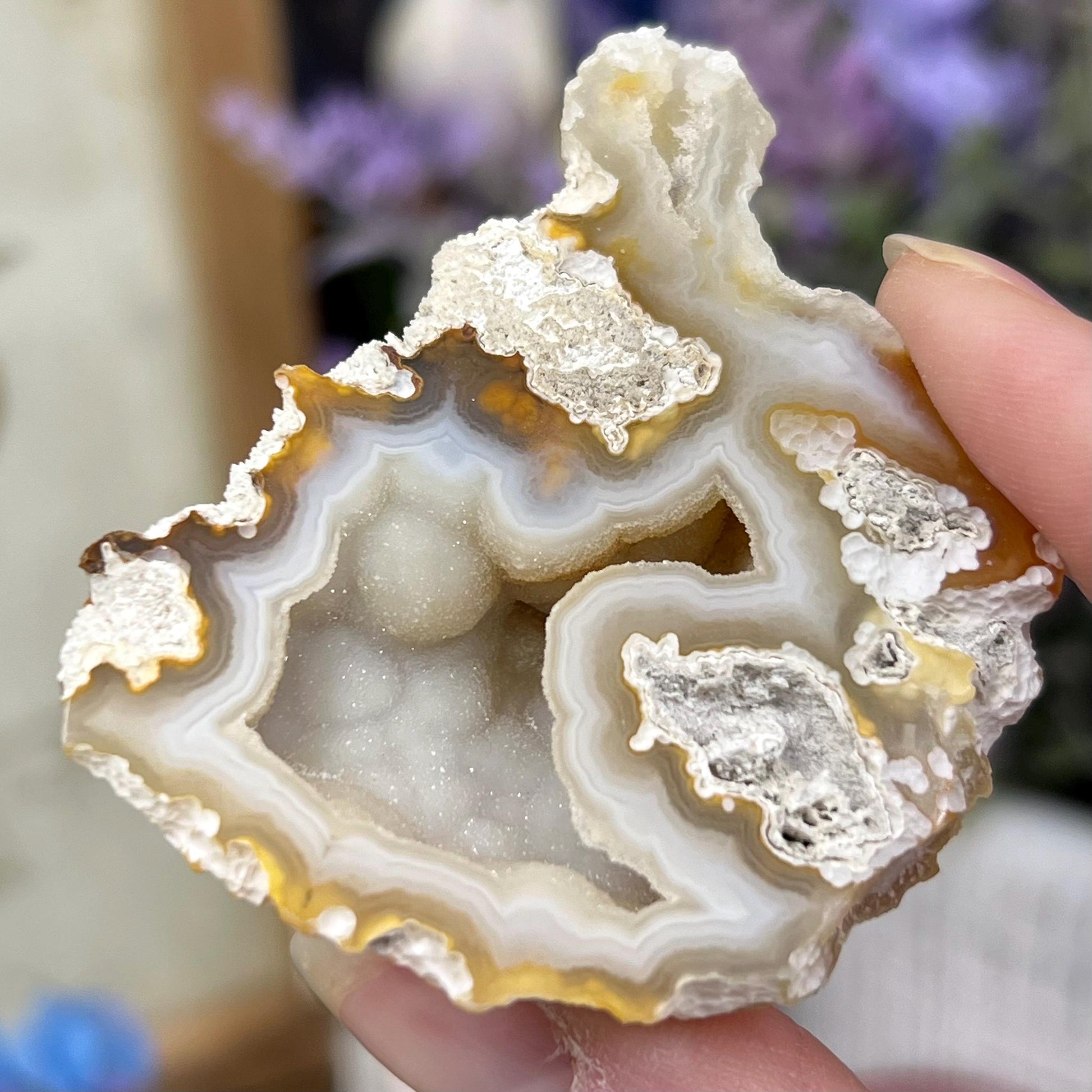 High Quality Agatized Coral | Florida Fossilized Coral | UV Reactive Coral Fossil | Coral Geode
