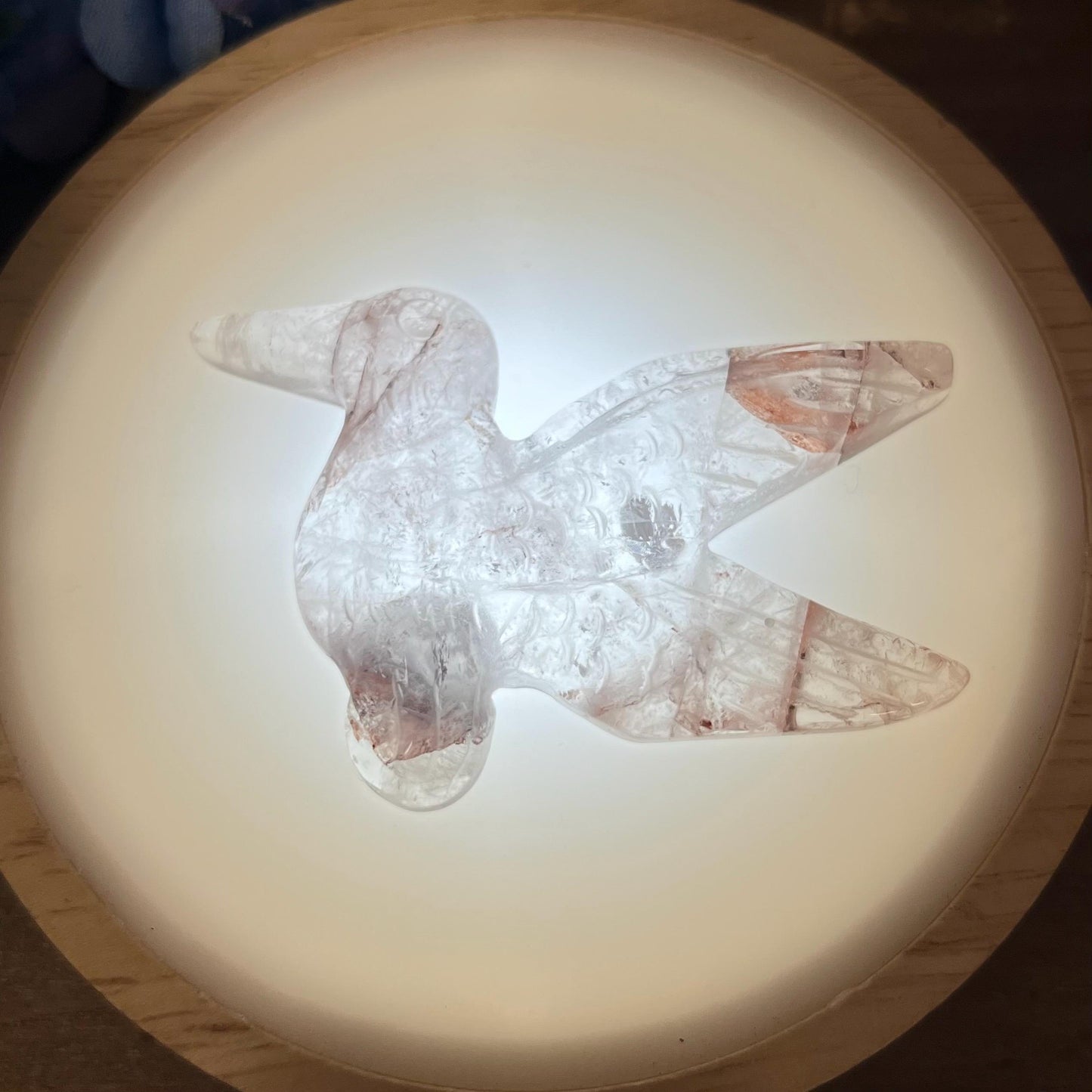 Cute Fire Quartz Hummingbird | Crystal Bird Carving