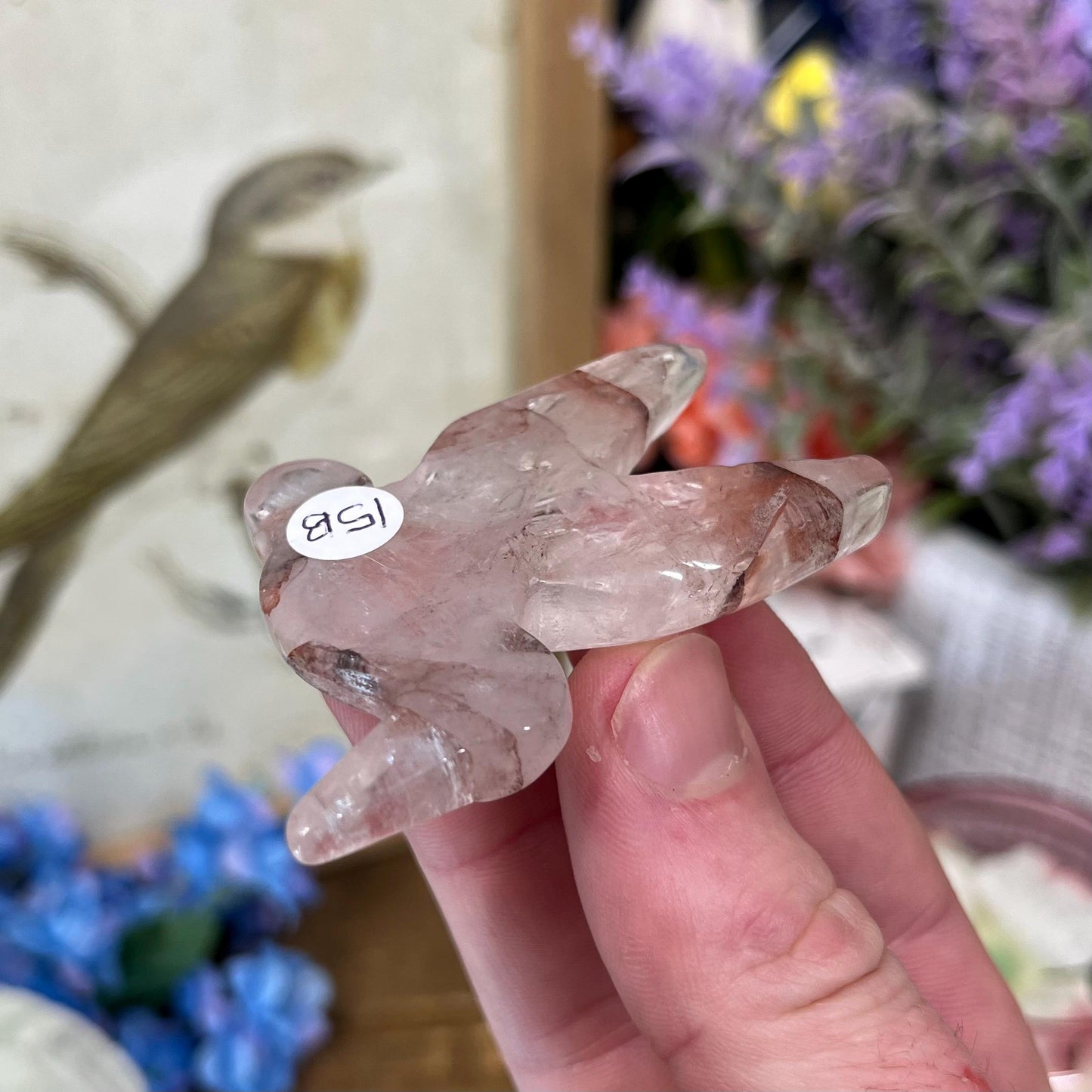 Cute Fire Quartz Hummingbird | Crystal Bird Carving