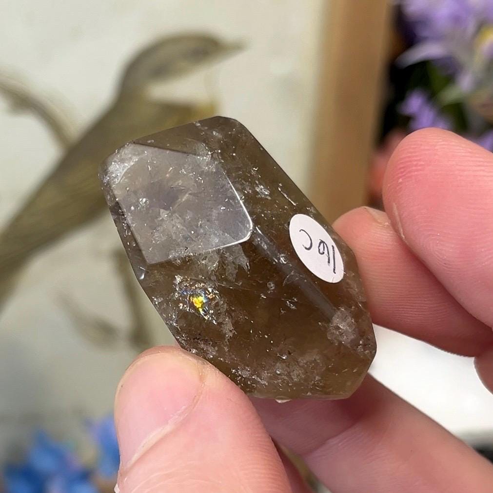 Smoky Citrine Freeform from Brazil